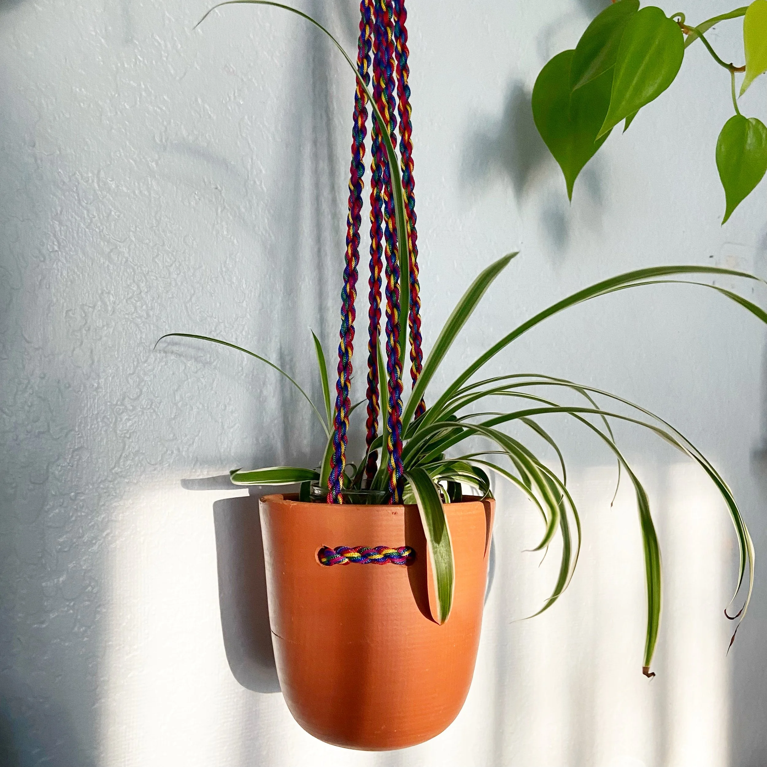 Hanging terra cotta planter