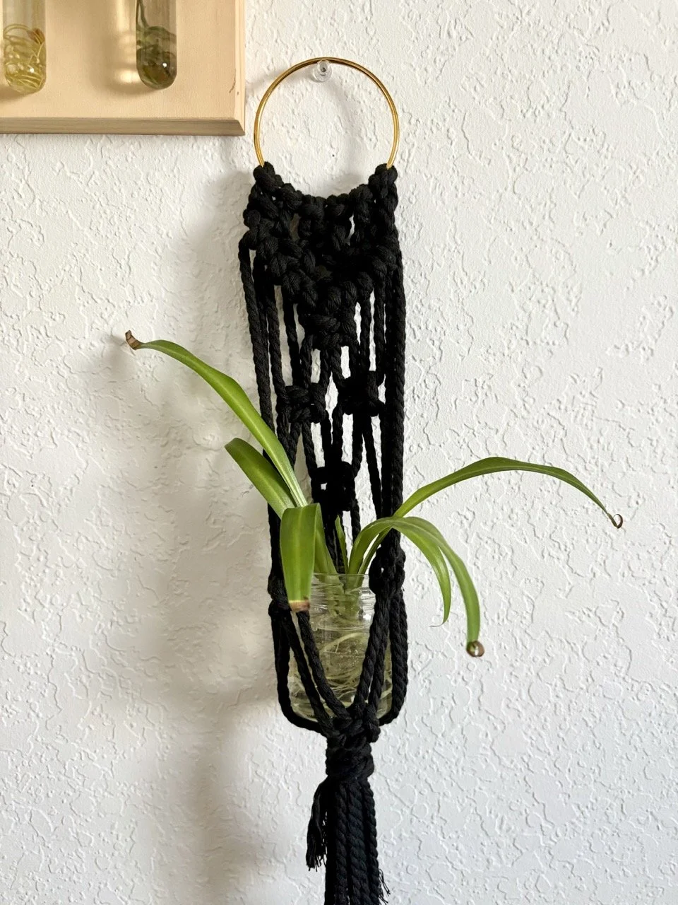 Black Hoop Macrame Plant Hanger
