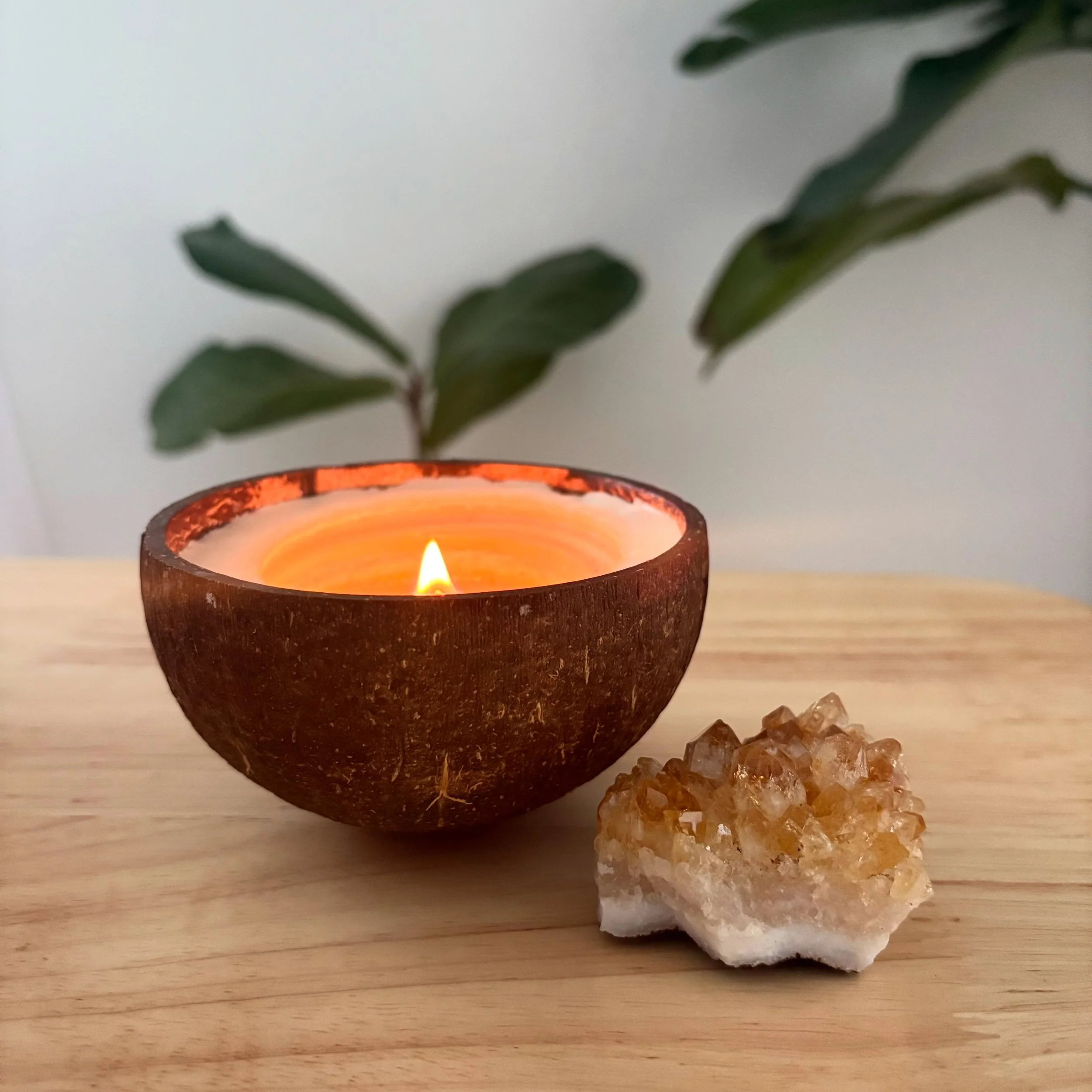 Coconut Shell Candle