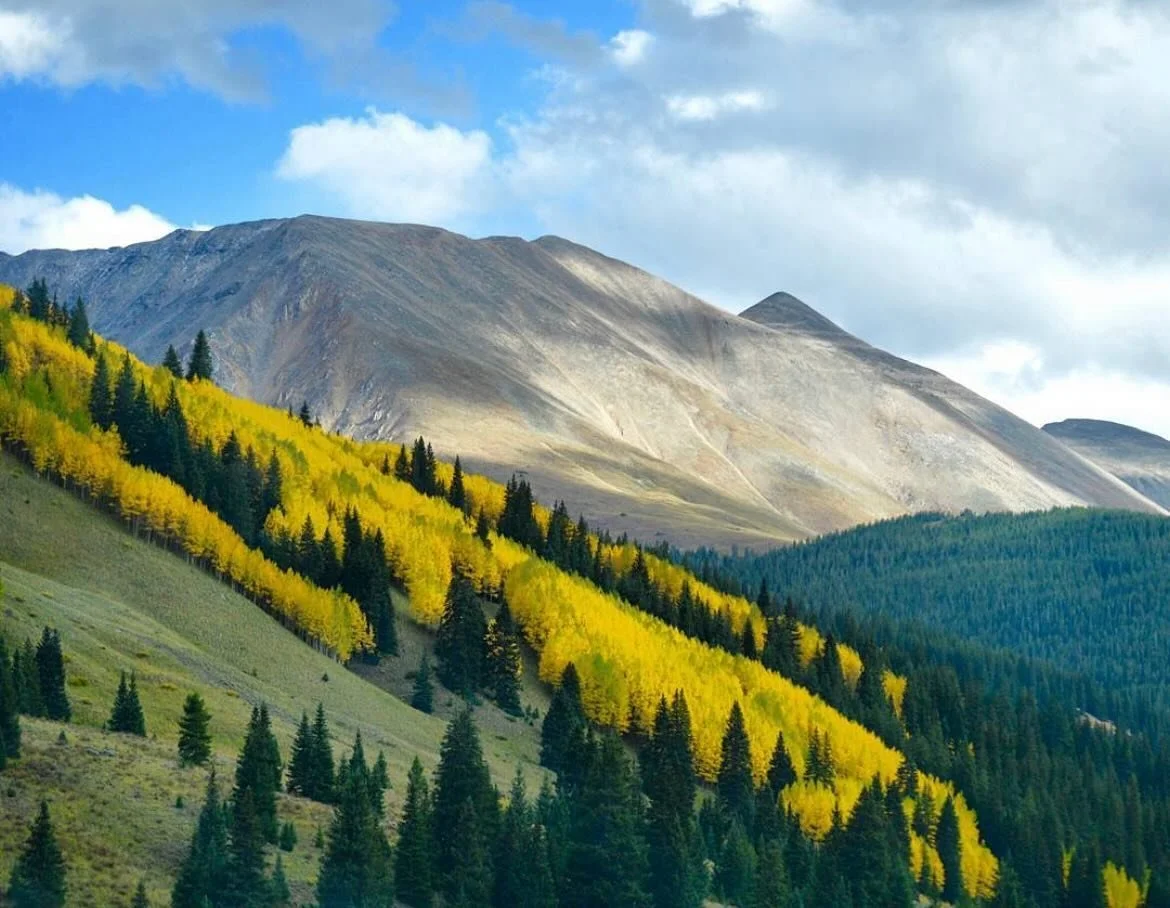 Still one of my favorite fall foliage drone shots I got in Colorado. 🍁

It snowed on us that night while camping in Aspen - in September! Such an amazing experience and core memory. 

I&rsquo;m a foliage hunter all day long - where are your favorite