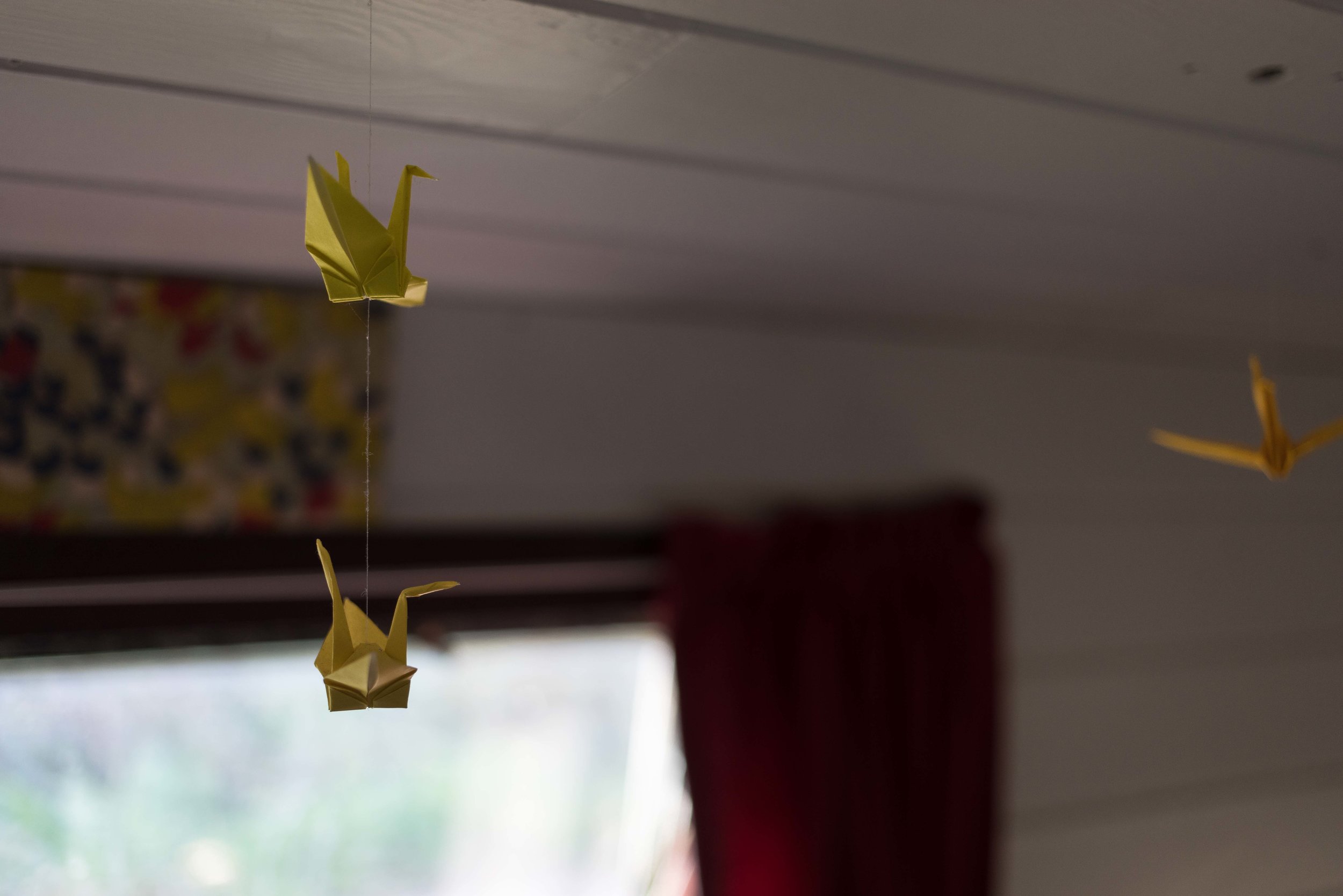 Justin_Carey_Photography_ROITD Paper Birds Floating_813kb.jpg