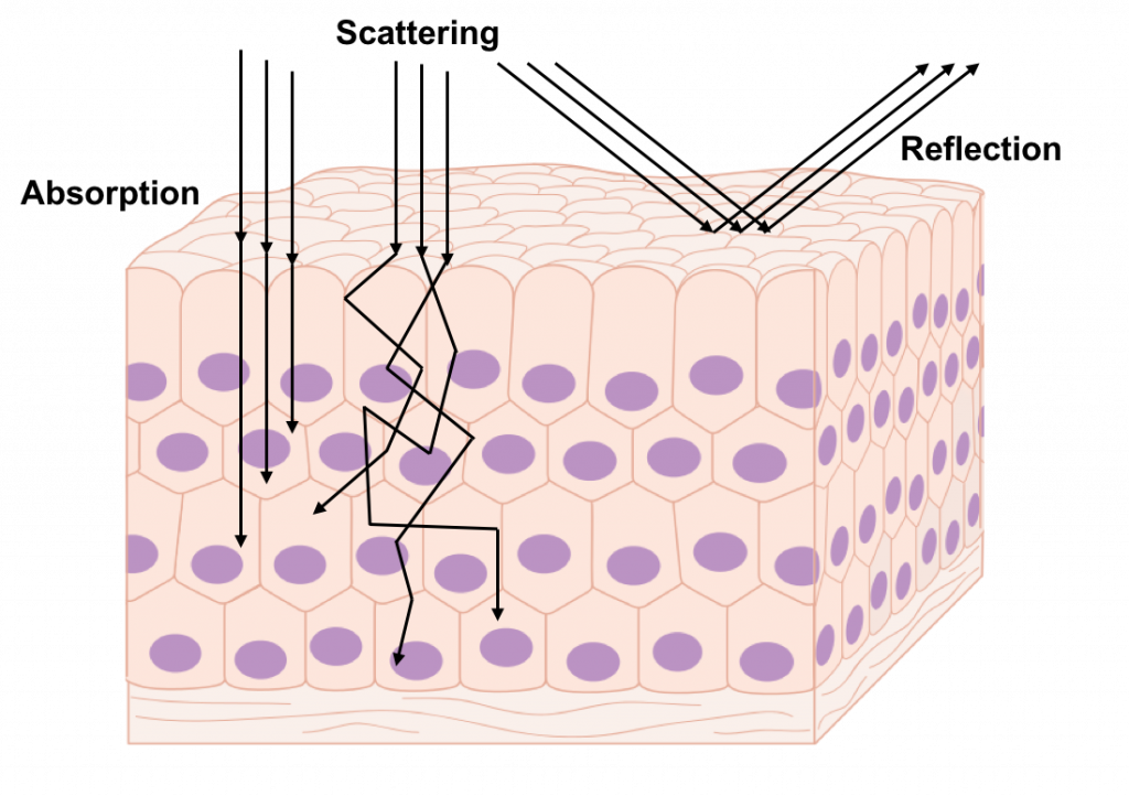 mechanism-25q4my7-1024x722.png