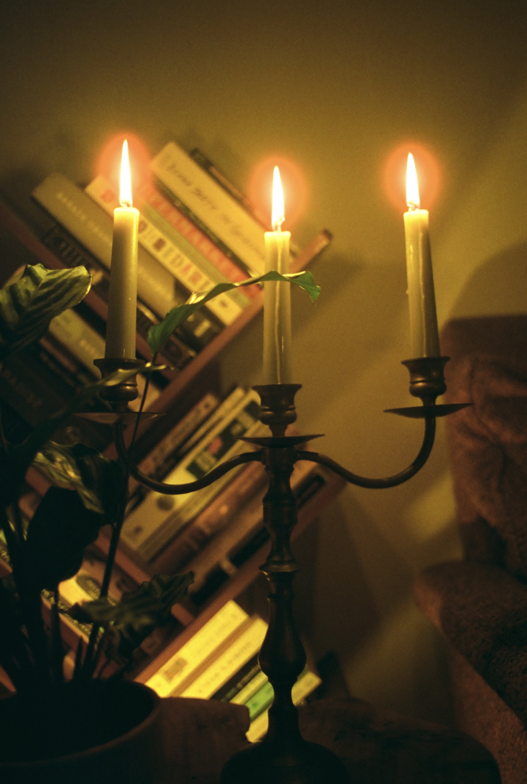 Copy of 000030510013.jpg
