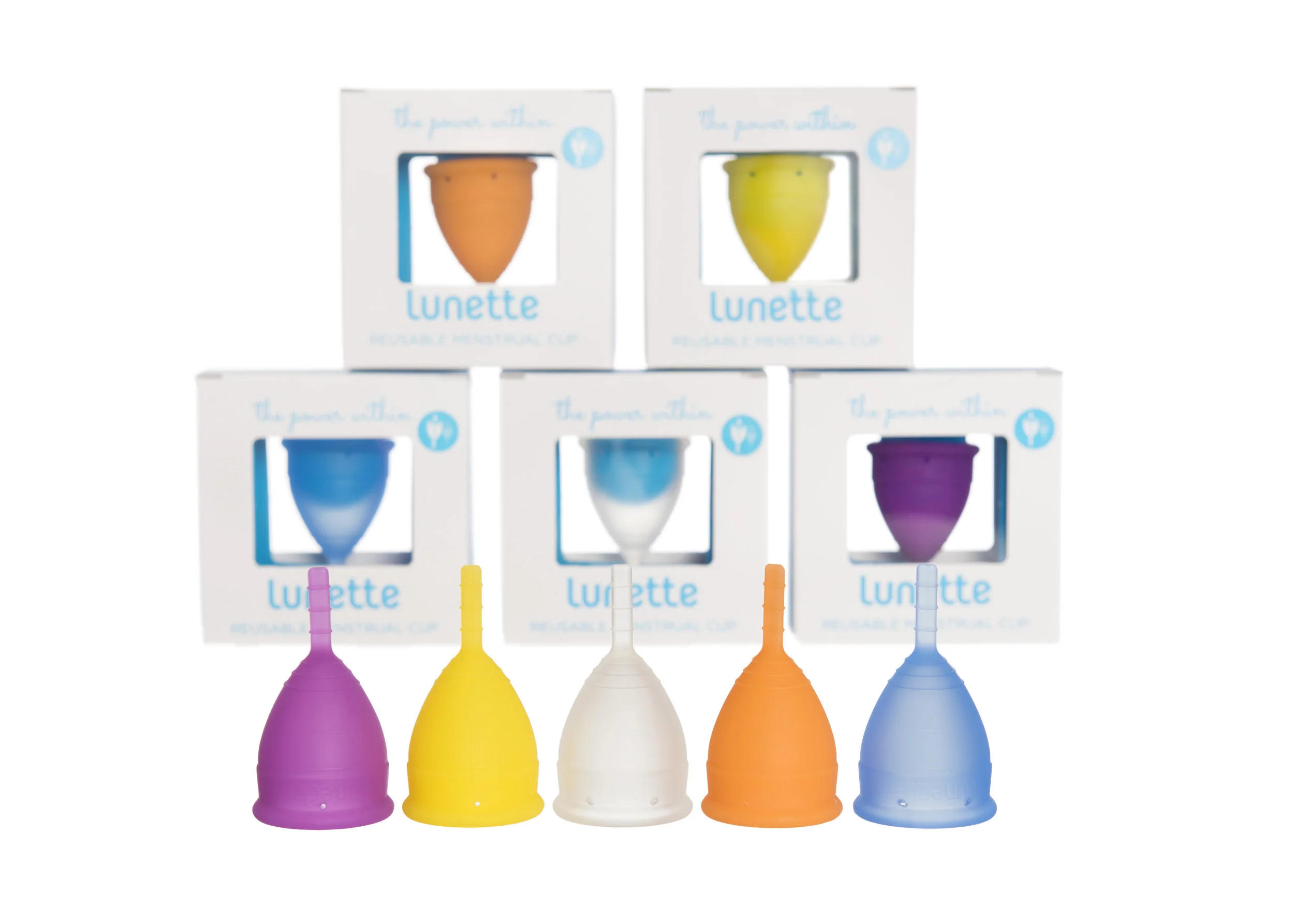 All Cup Colors.jpg
