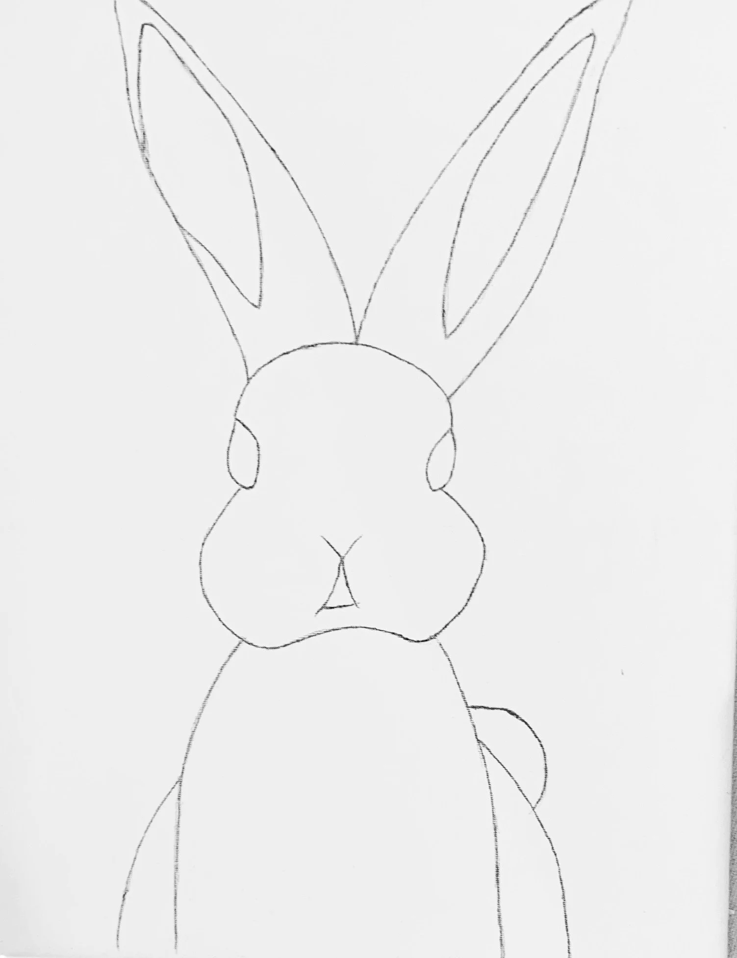 bunny drawing.jpg