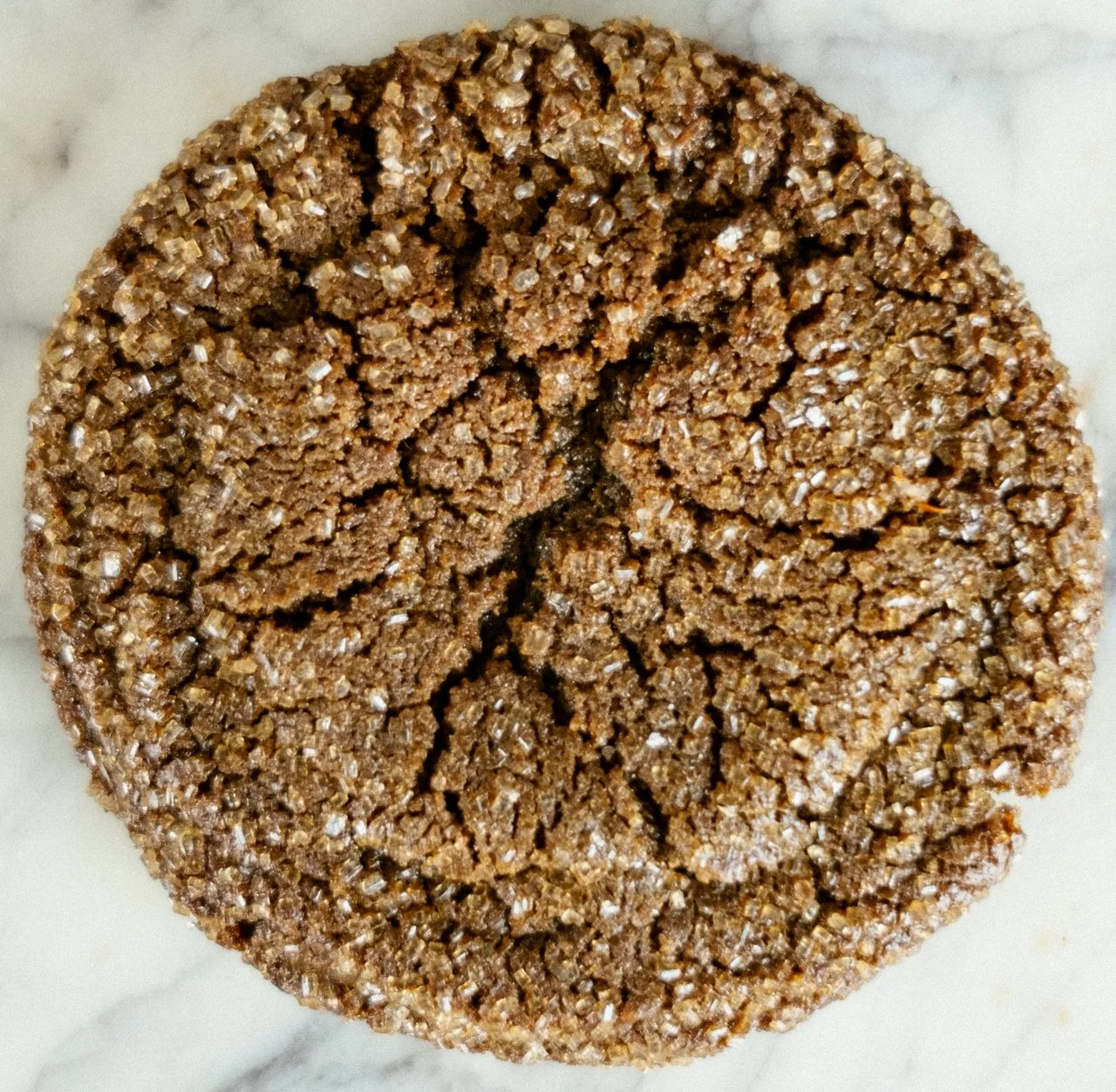 molasses cookie resized.jpg