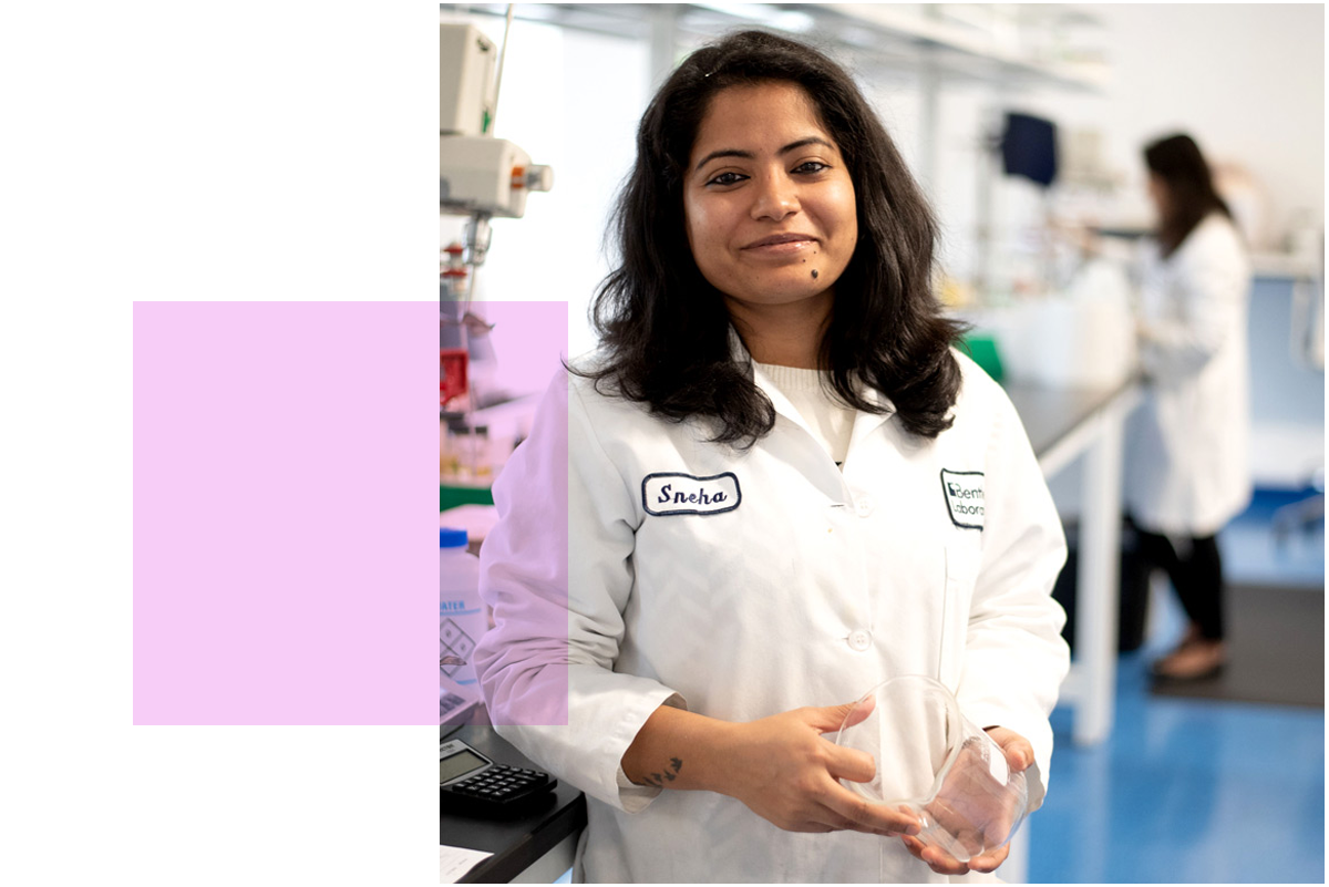 BentleyLabs_Formulation4.png