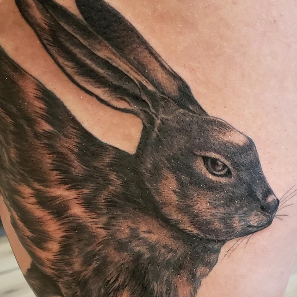 Looking forward to continuing work on this lovely wild Hare...soon @pascale_arpin! 🖤