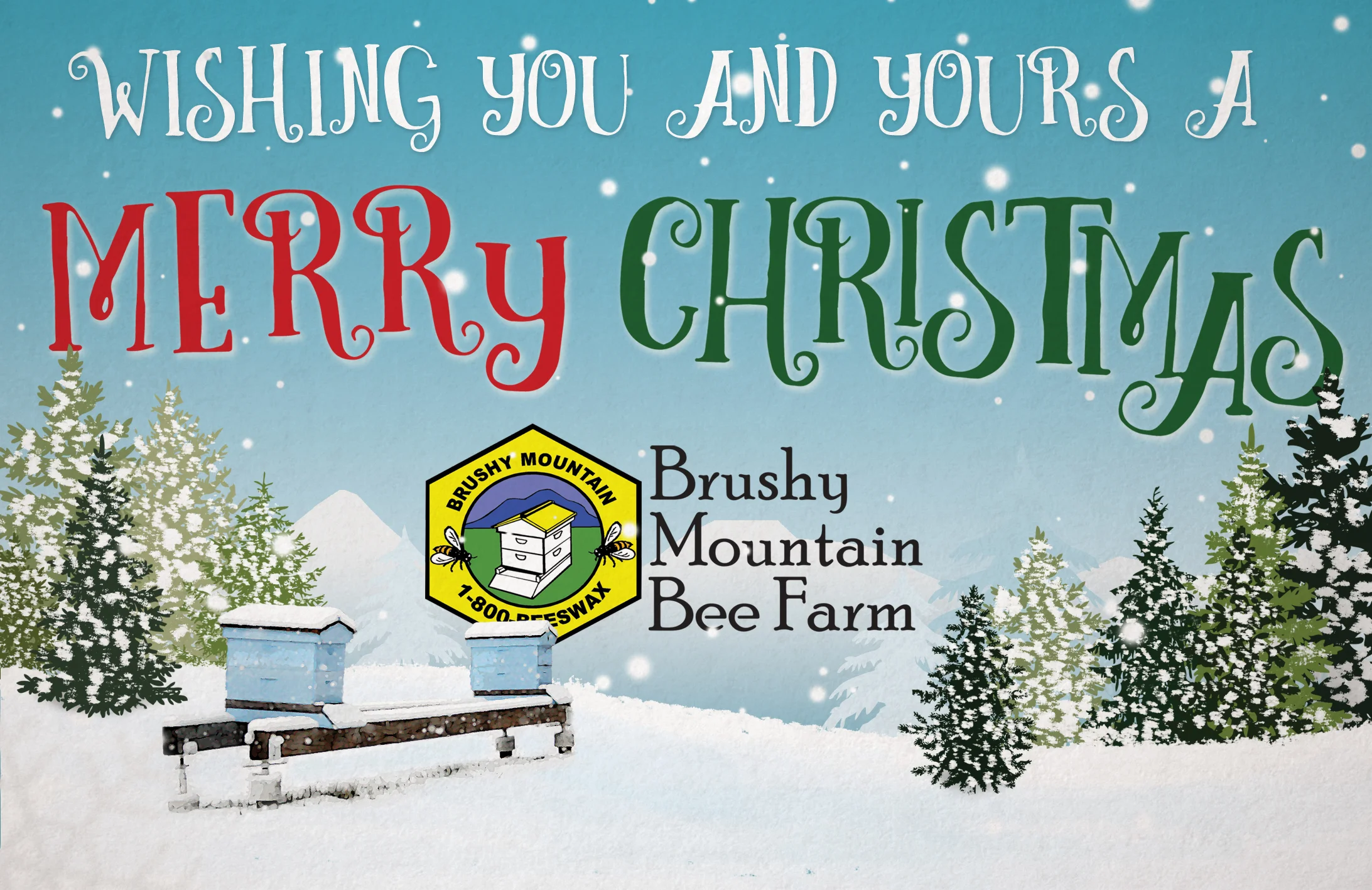 social_xmas_card.jpg