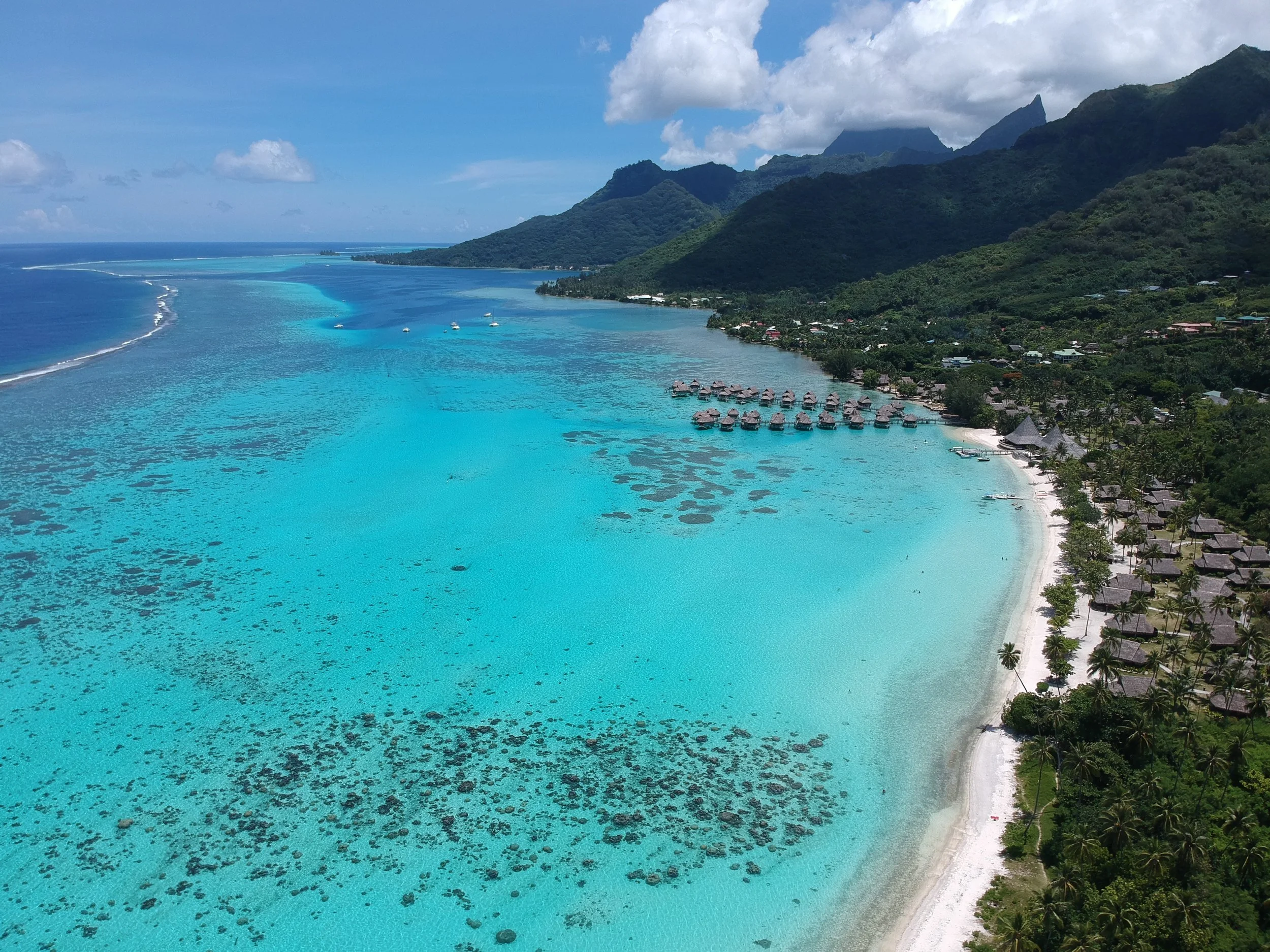DJI_0131 2.jpg