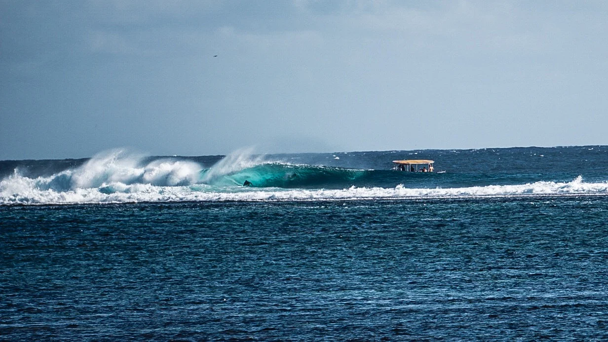 LRG_DSC02248.jpg