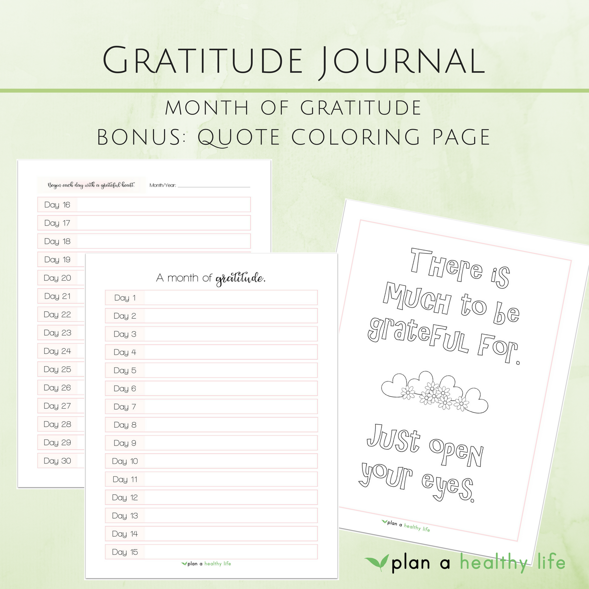 Printable Gratitude Journal - 4 Page Styles - 8.5x11 Size — PLAN A ...