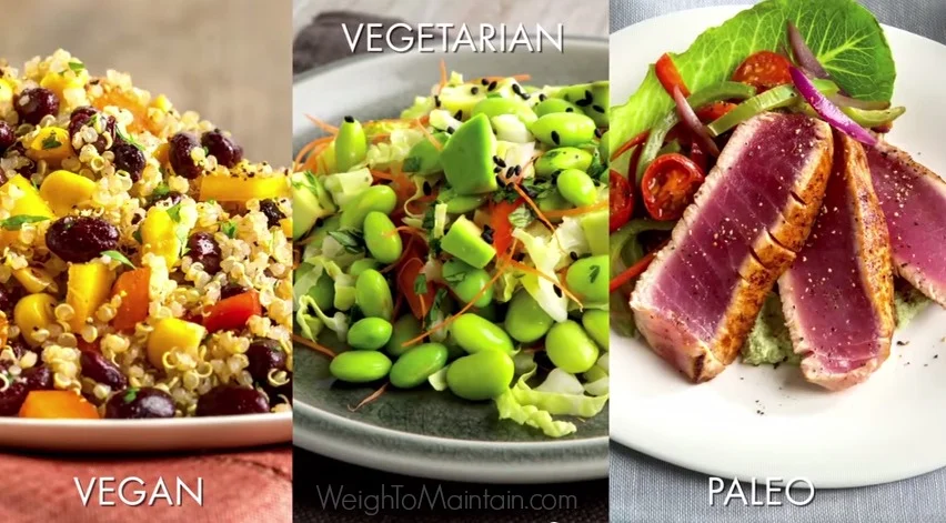 fixate vegan vegetarian paleo weigh to maintain