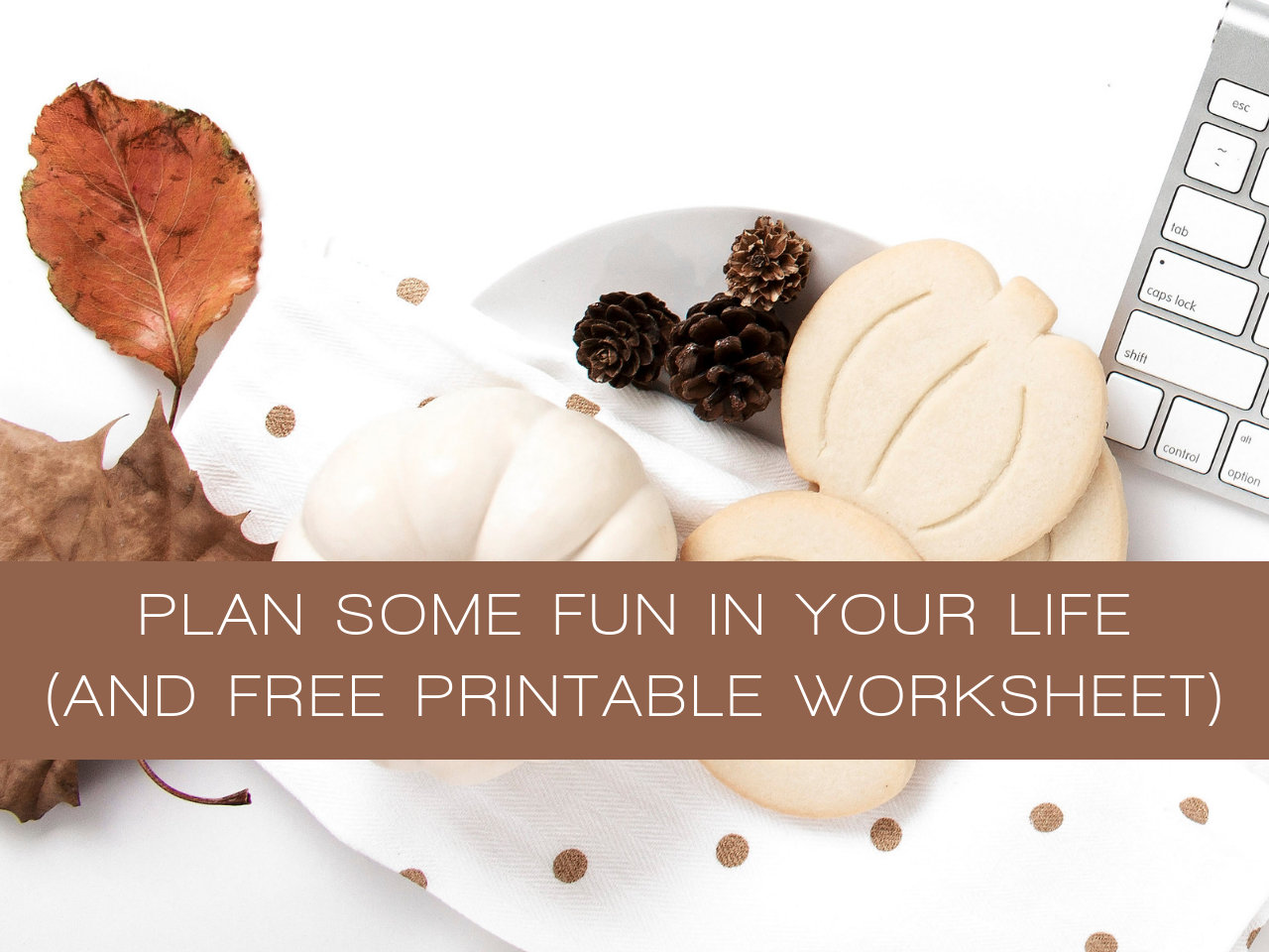 plan fun in your life