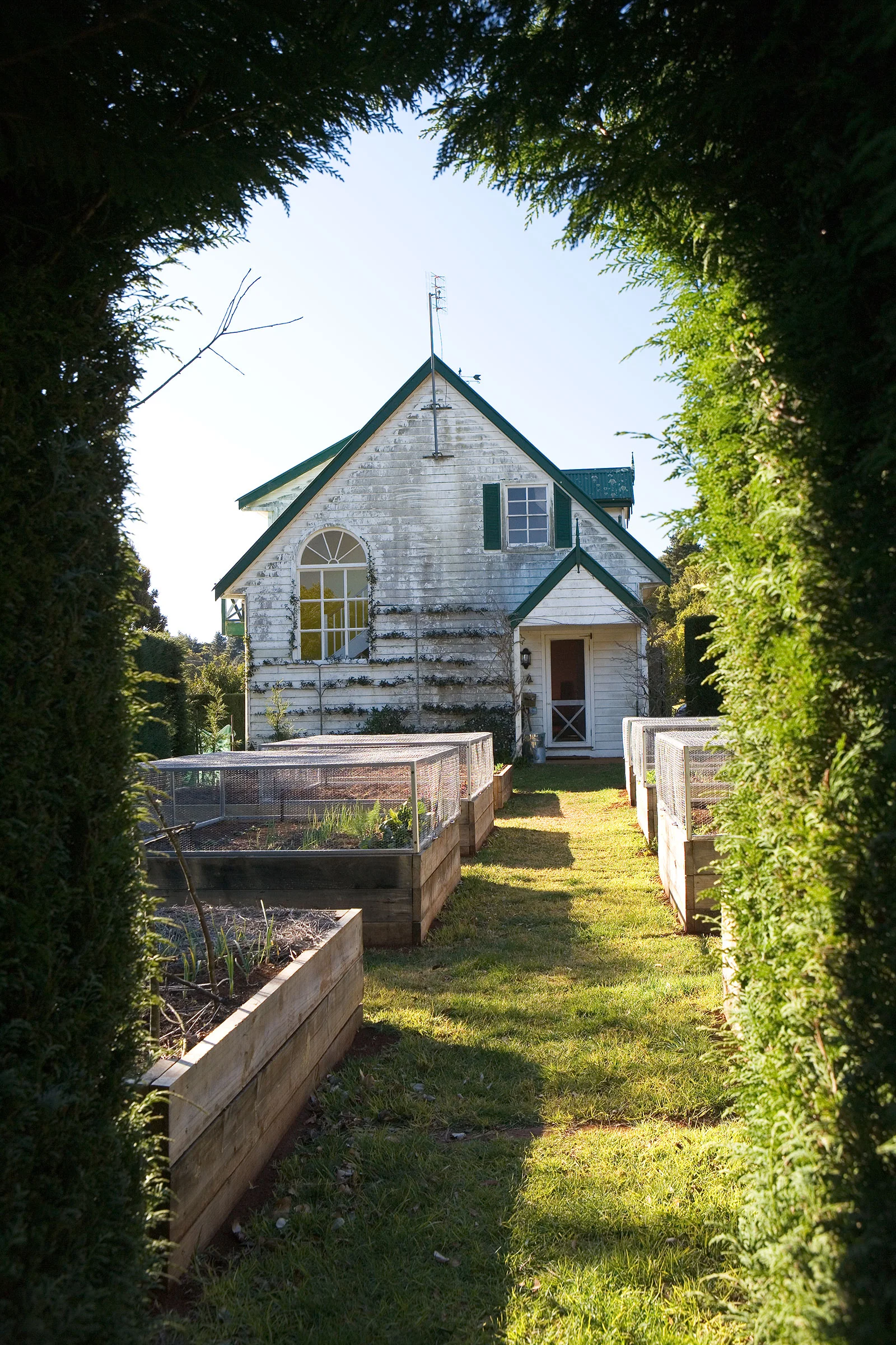 g1o0351.jpg