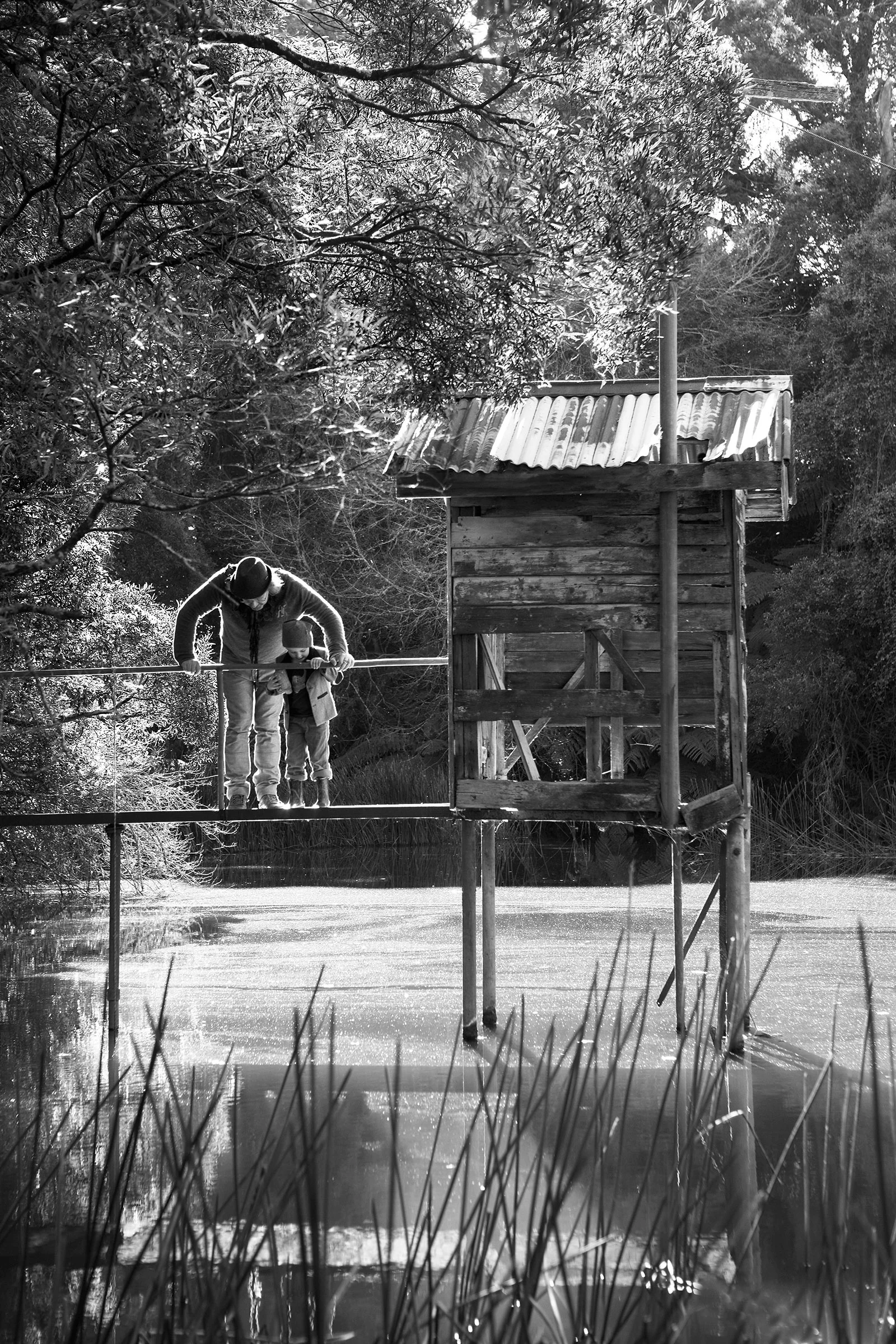 g1o2421-bw.jpg