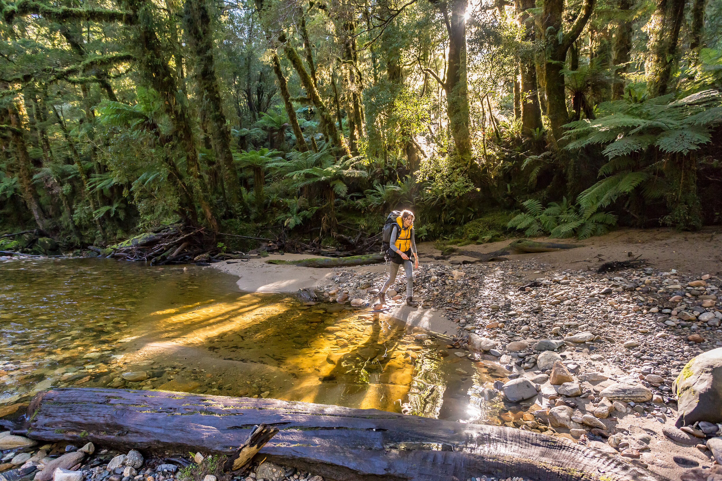 6860-Paparoa-Track-West-Caost-Jason-Blair 2.jpg