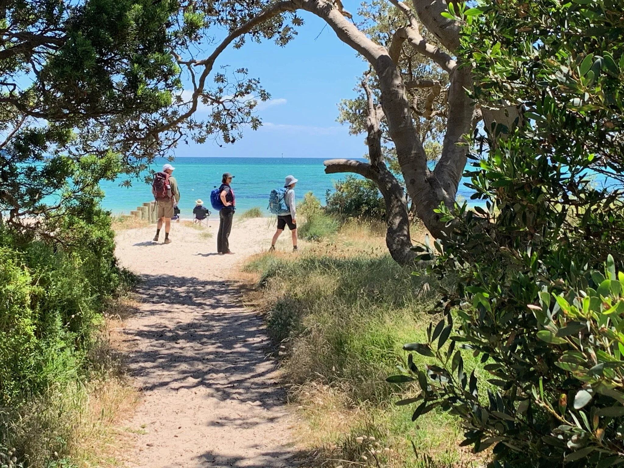 Multi-Day Walks on Victoria's Mornington Peninsula