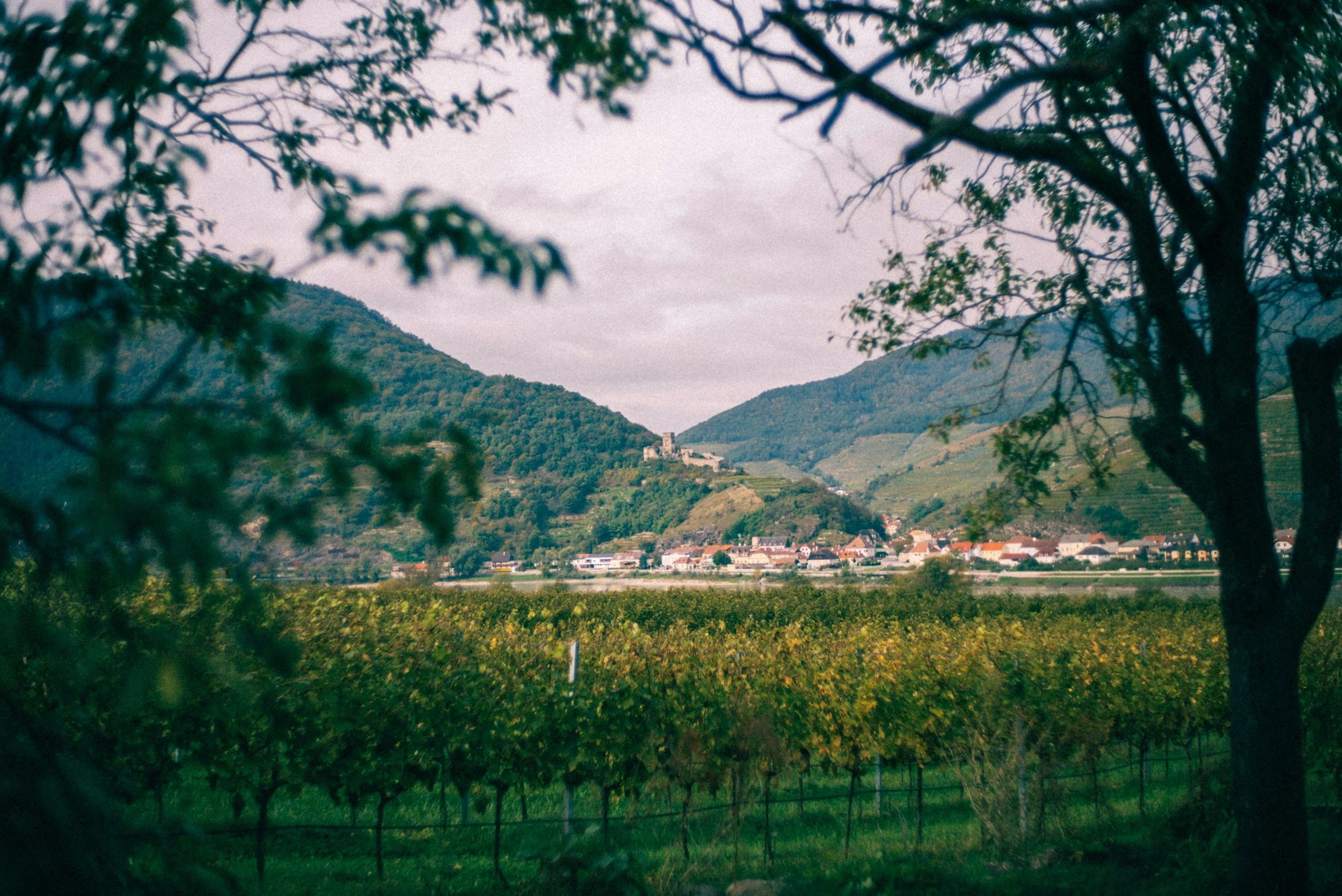 Wachau World Heritage Trail