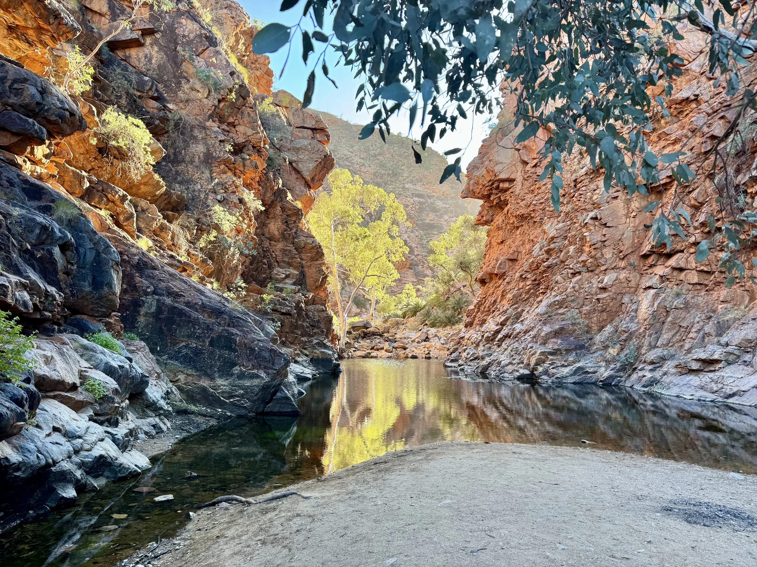 A Taste of the Larapinta Trail