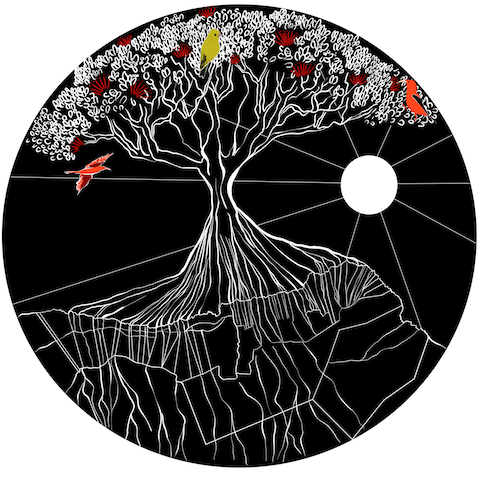 AAOLogo.png