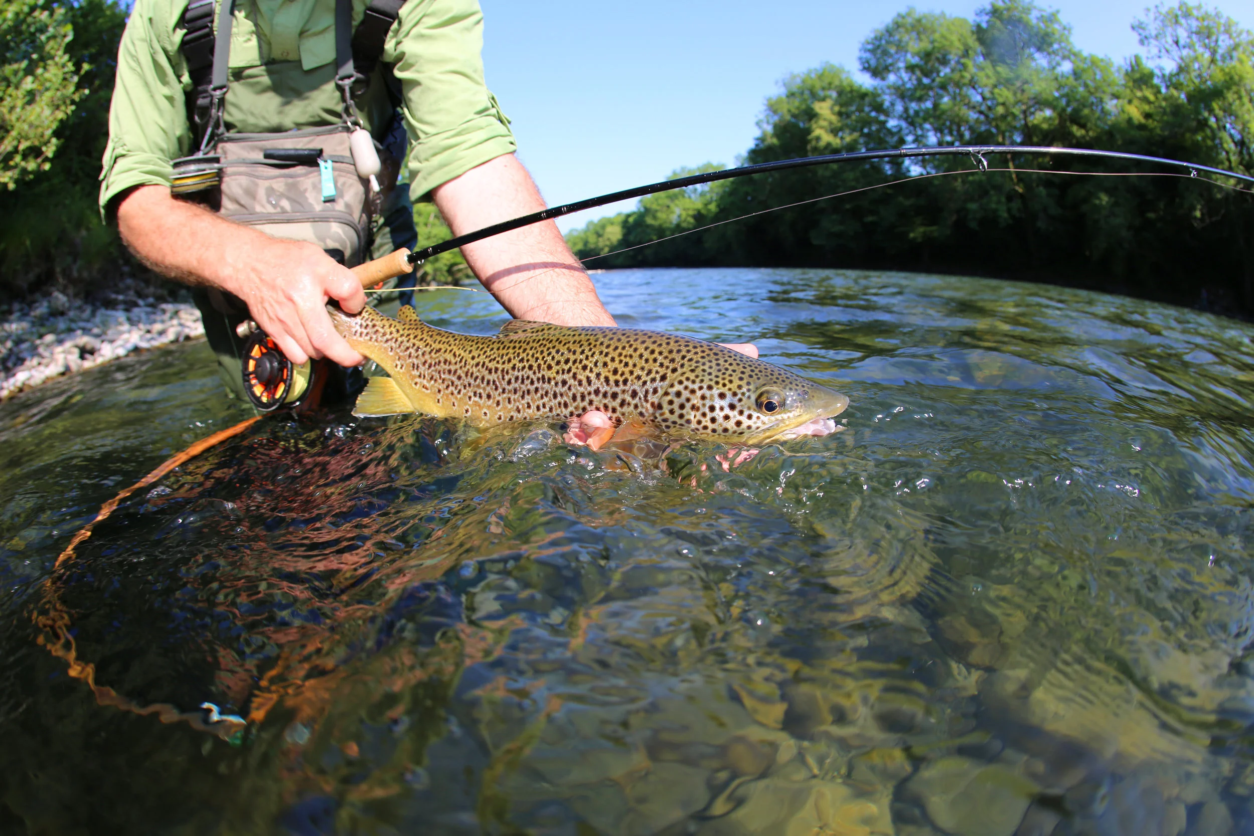 west_virginia_fly_fishing.jpeg