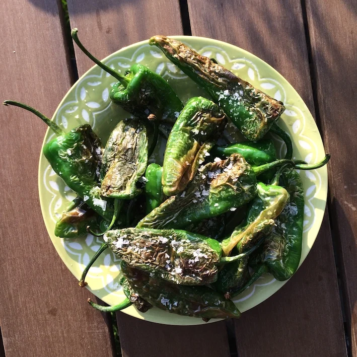 Pimientos de Padron - snackpebre med spark i
