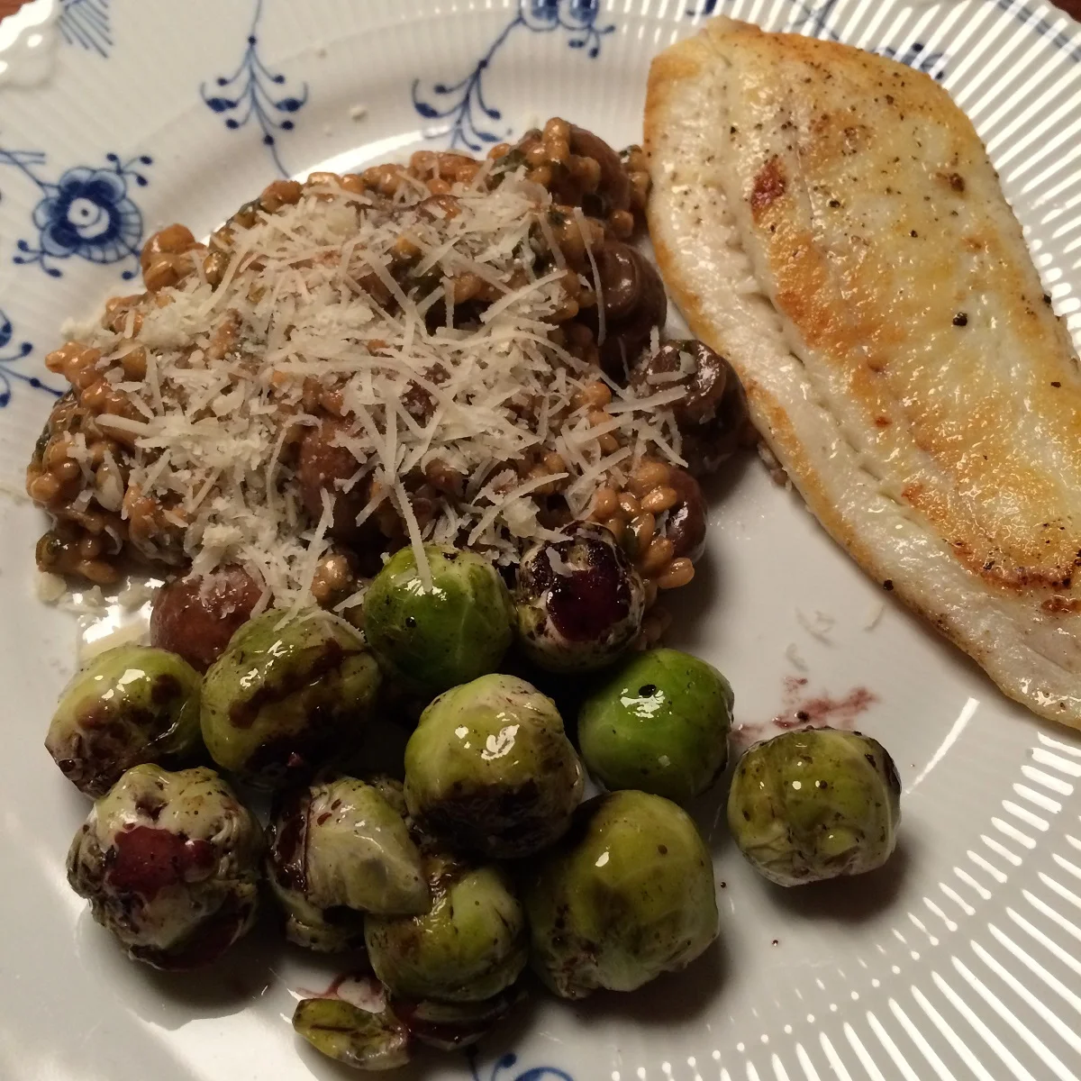 Slethvar med bygotto og rosenkål