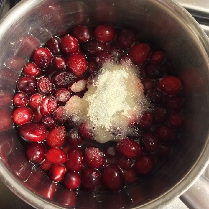 Dejligt sur og hjemmelavet tranebærkompot