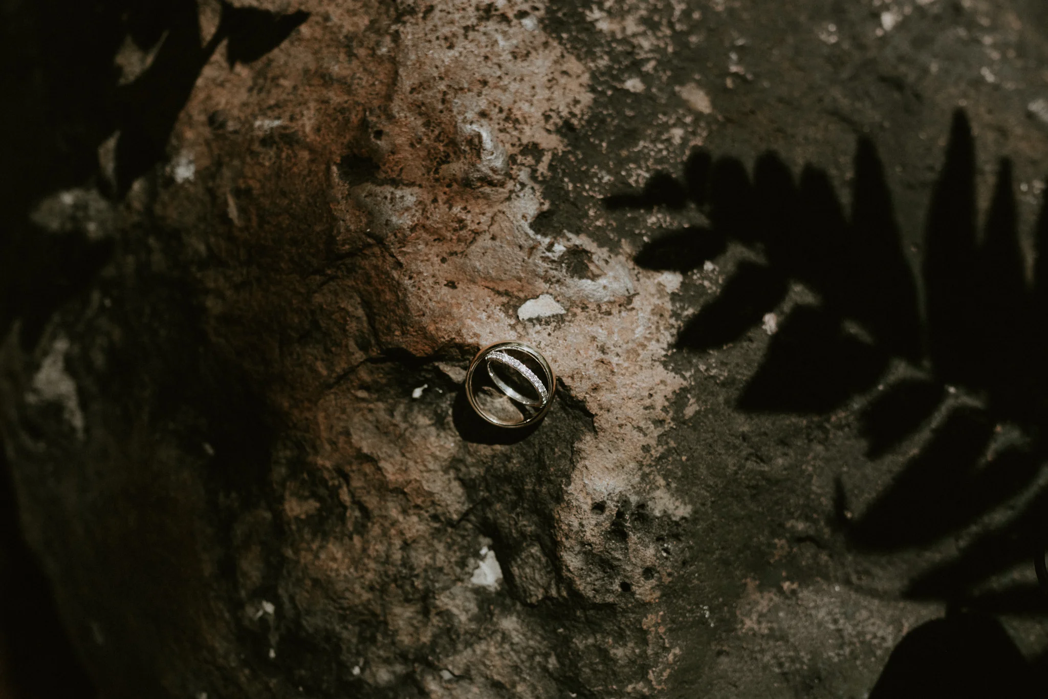 Jackie & Luis Boda Nov 2018 Web-155.jpg