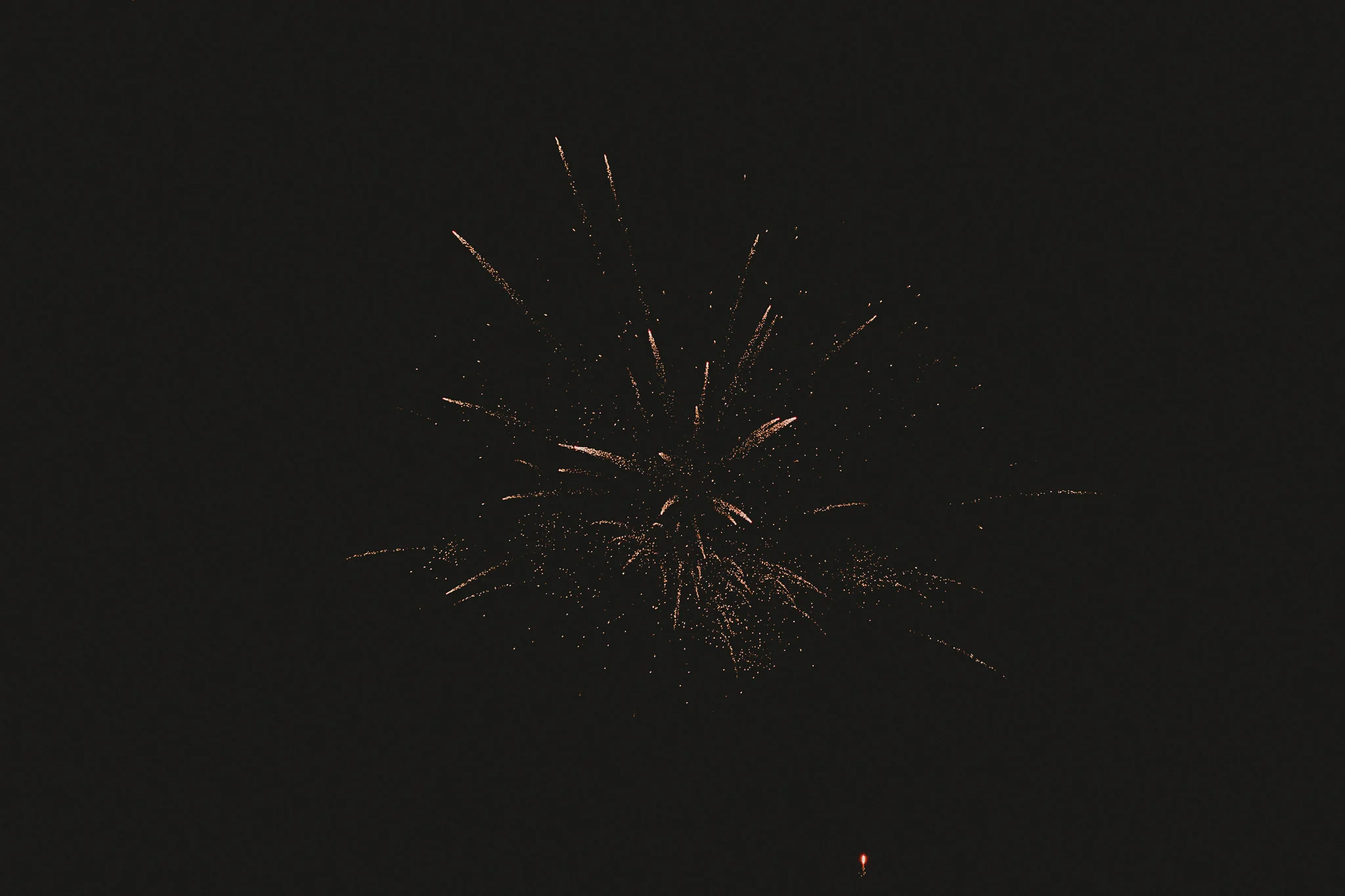 Rose & Dan Wedding Web-1197.jpg