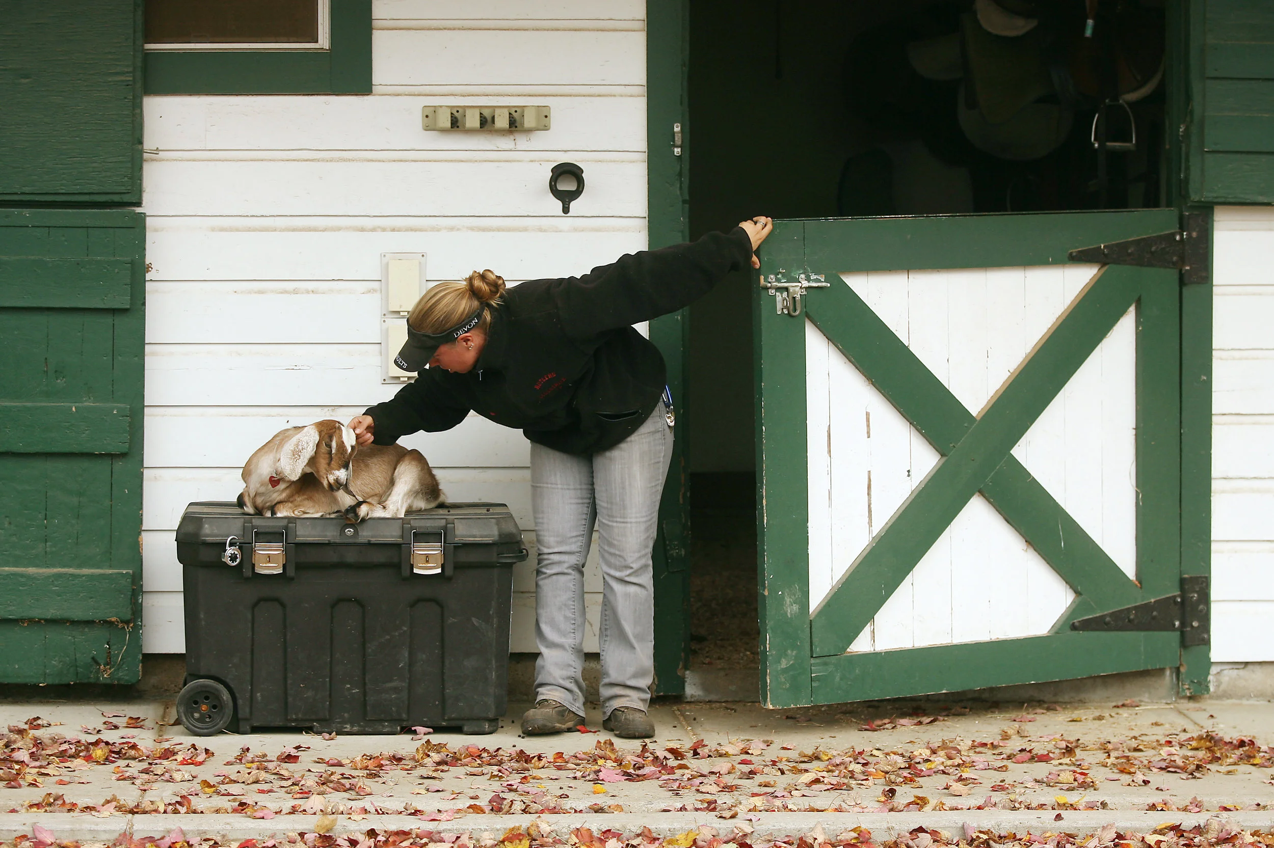 11:02am, Morristown, NJ, Seaton Hackney Stables