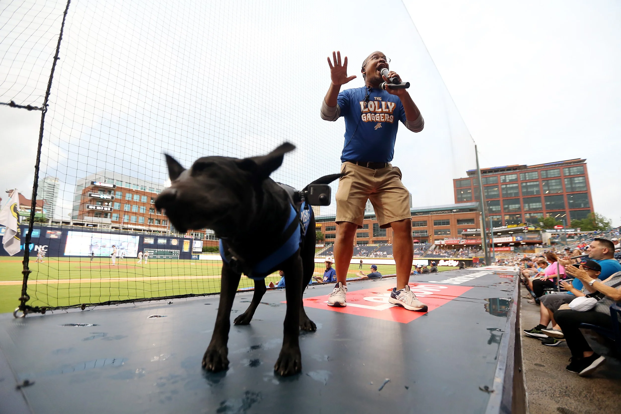 070922Ripken_1747A.jpg