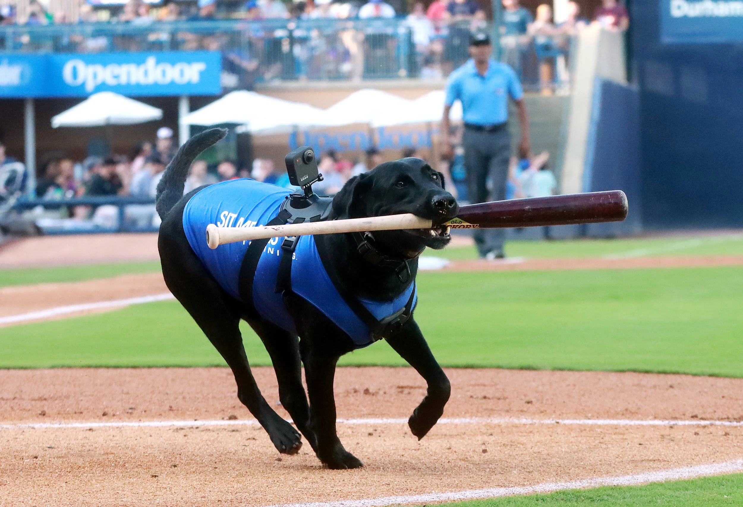 072322Ripken_0758.jpg