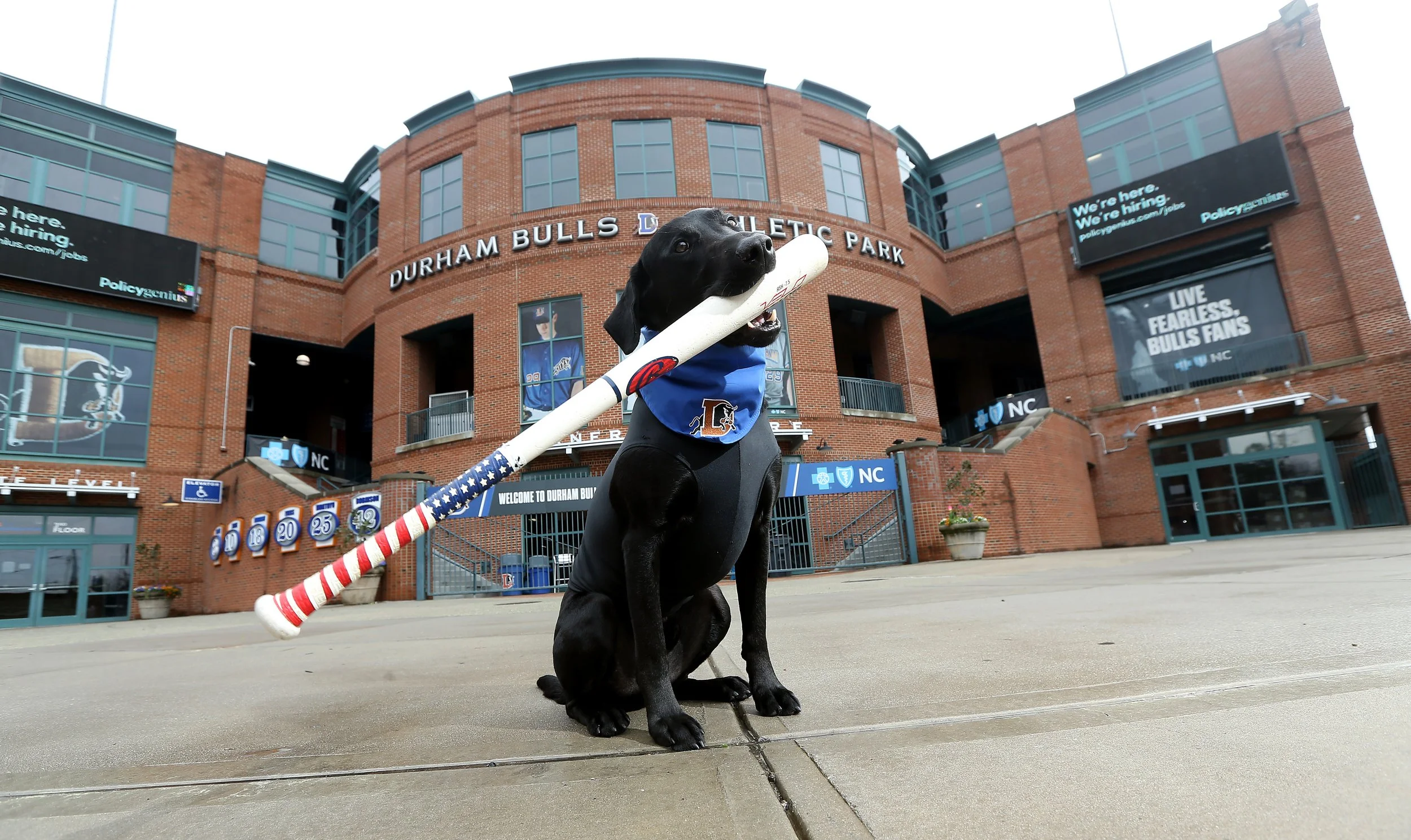 031220Ripken_0001.jpg