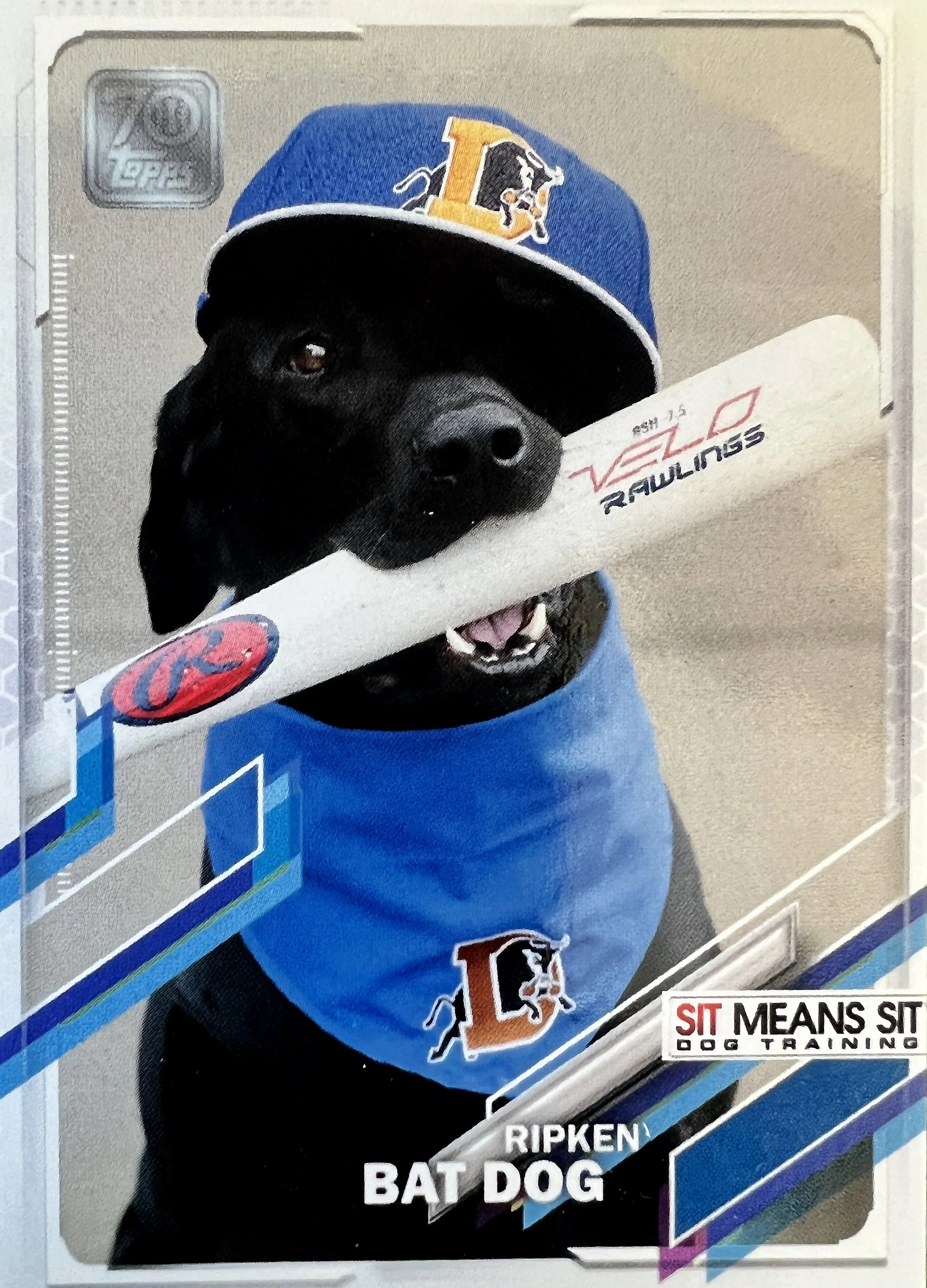 Ripkenbbcard.jpg