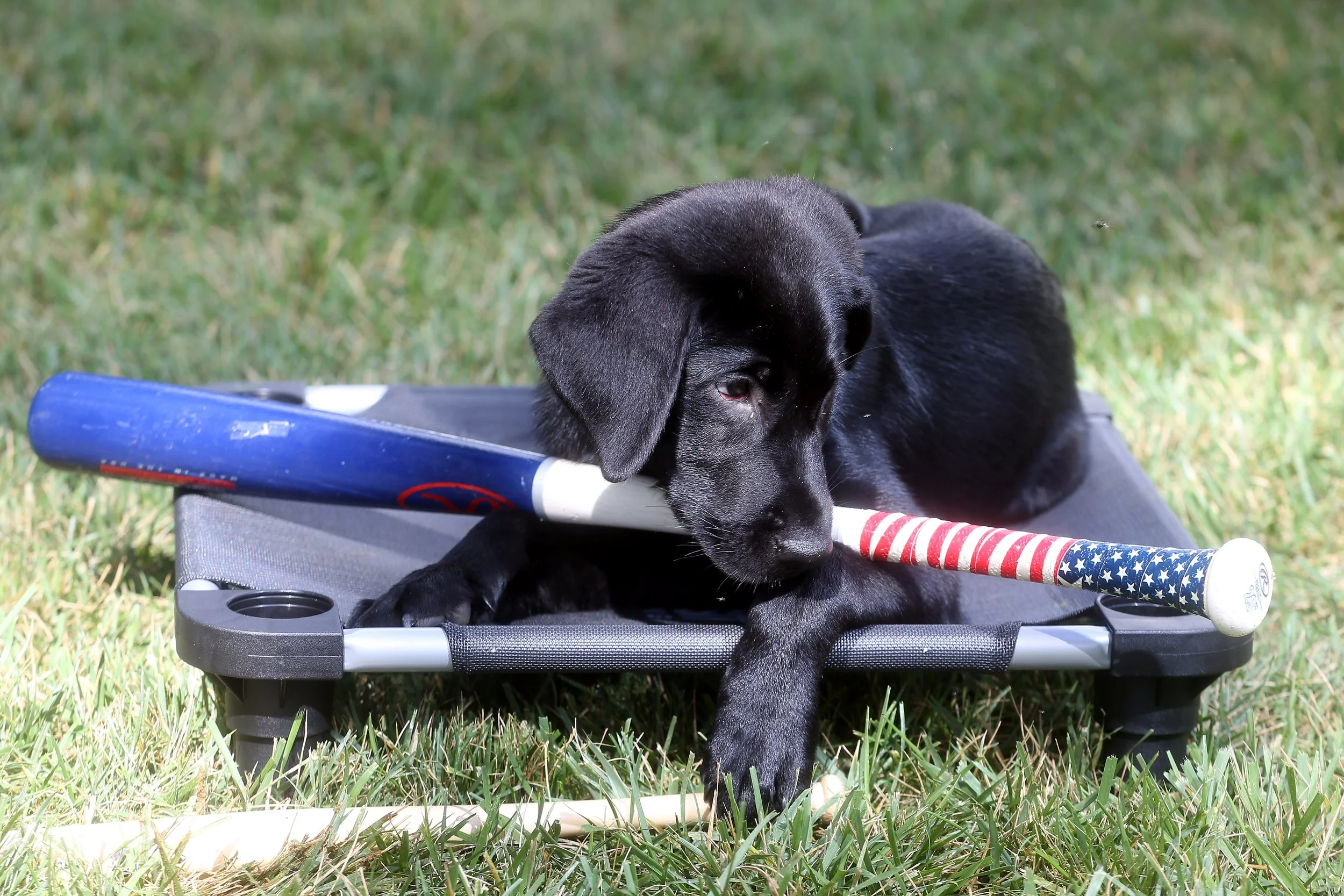 071822Ripken_0464.jpg