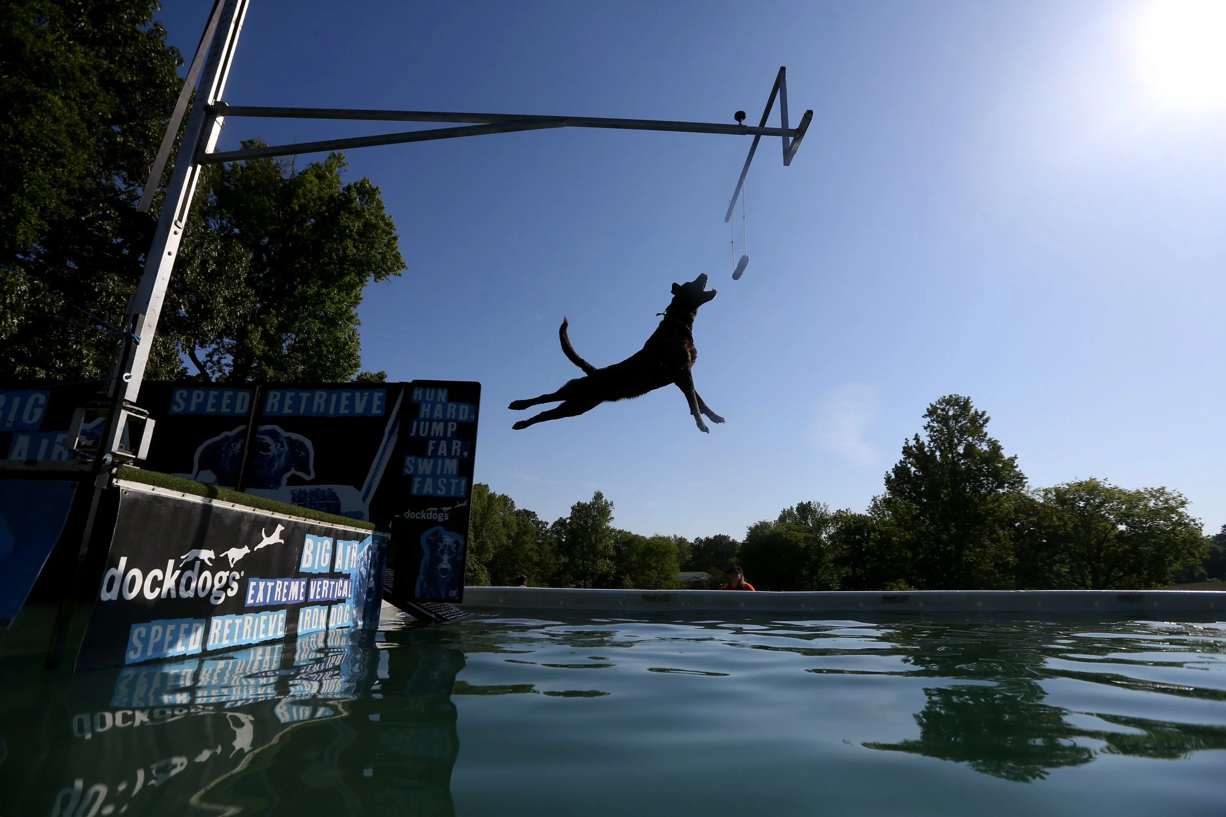 050623Dockdogs_0719A.jpg