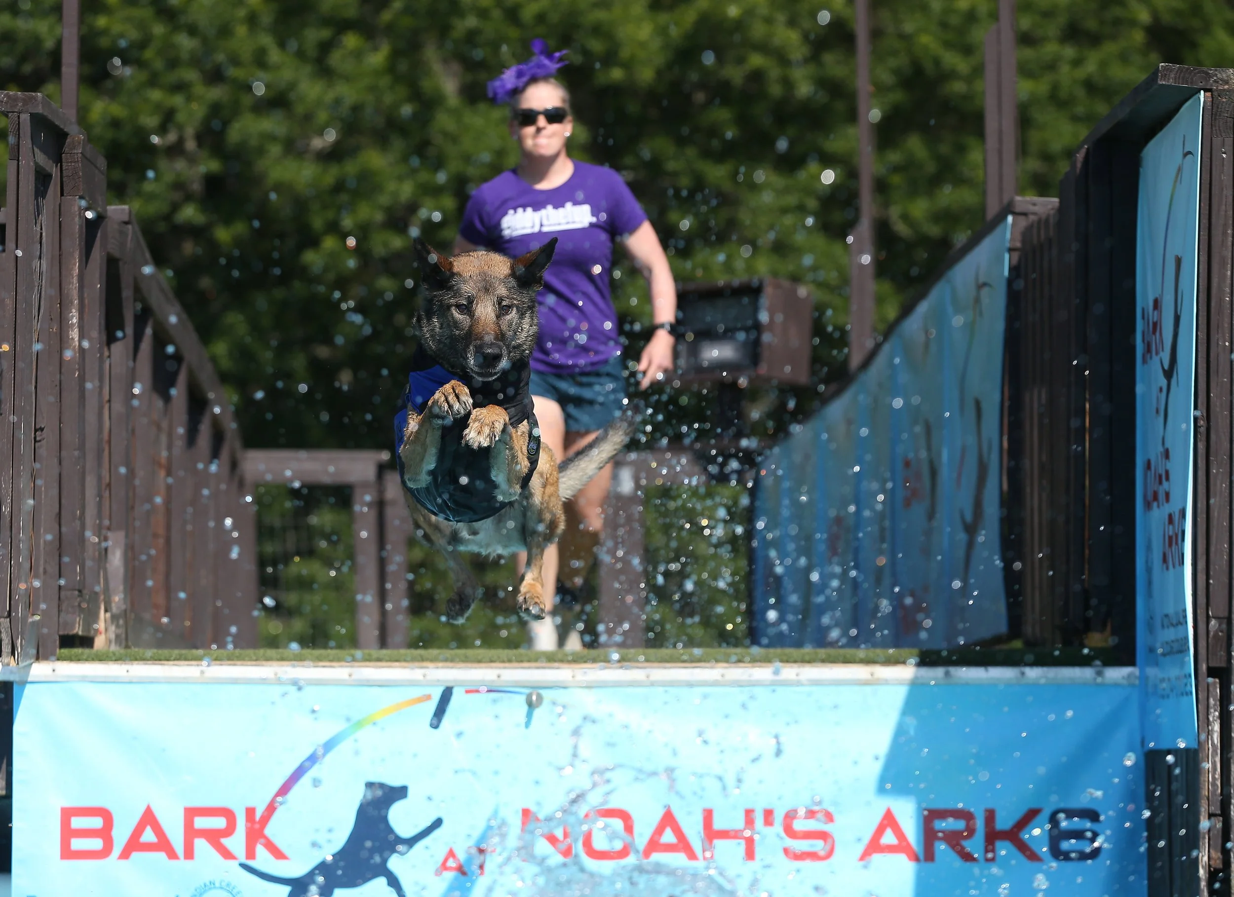 050623Dockdogs_1343.jpg