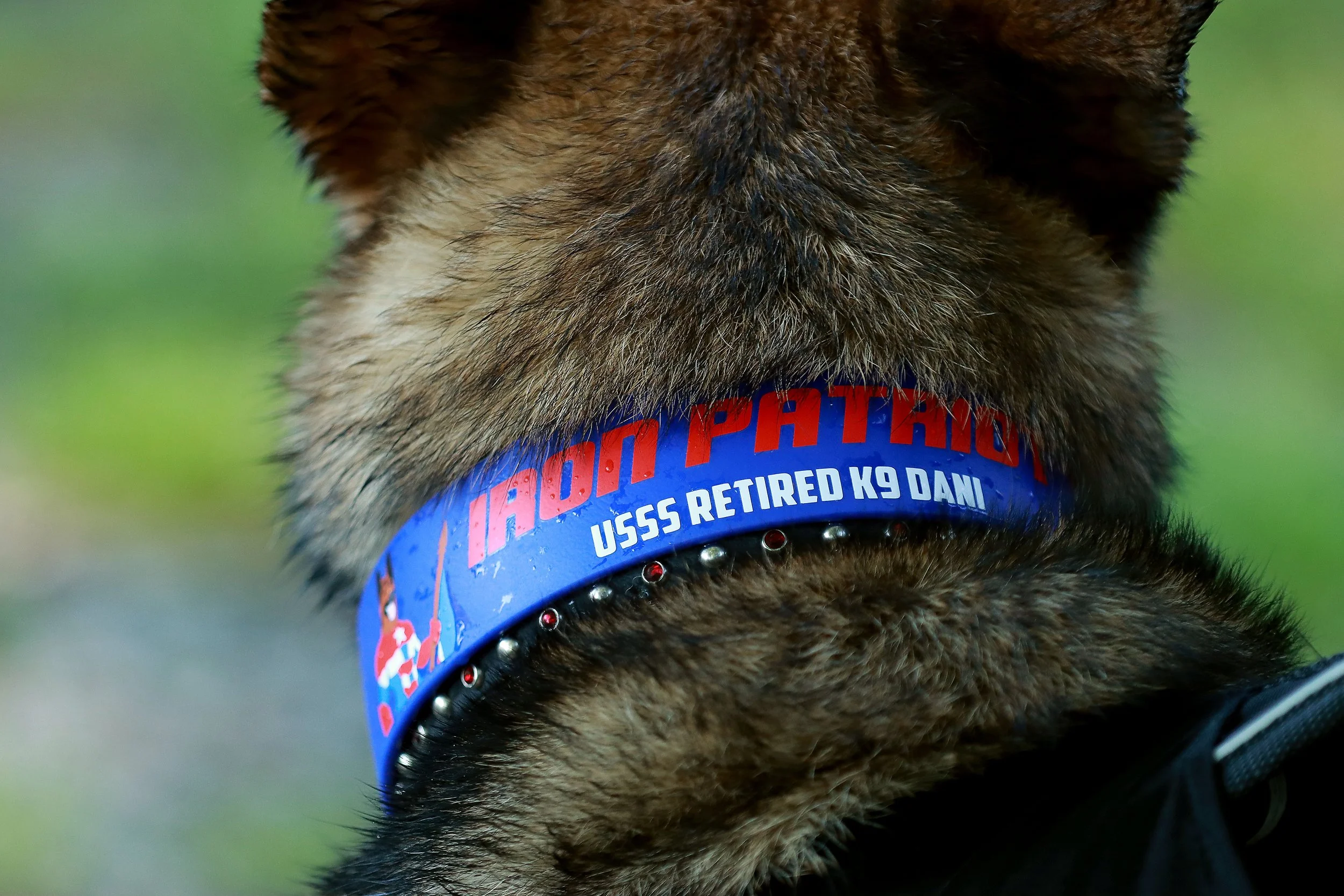 050623Dockdogs_1158.jpg