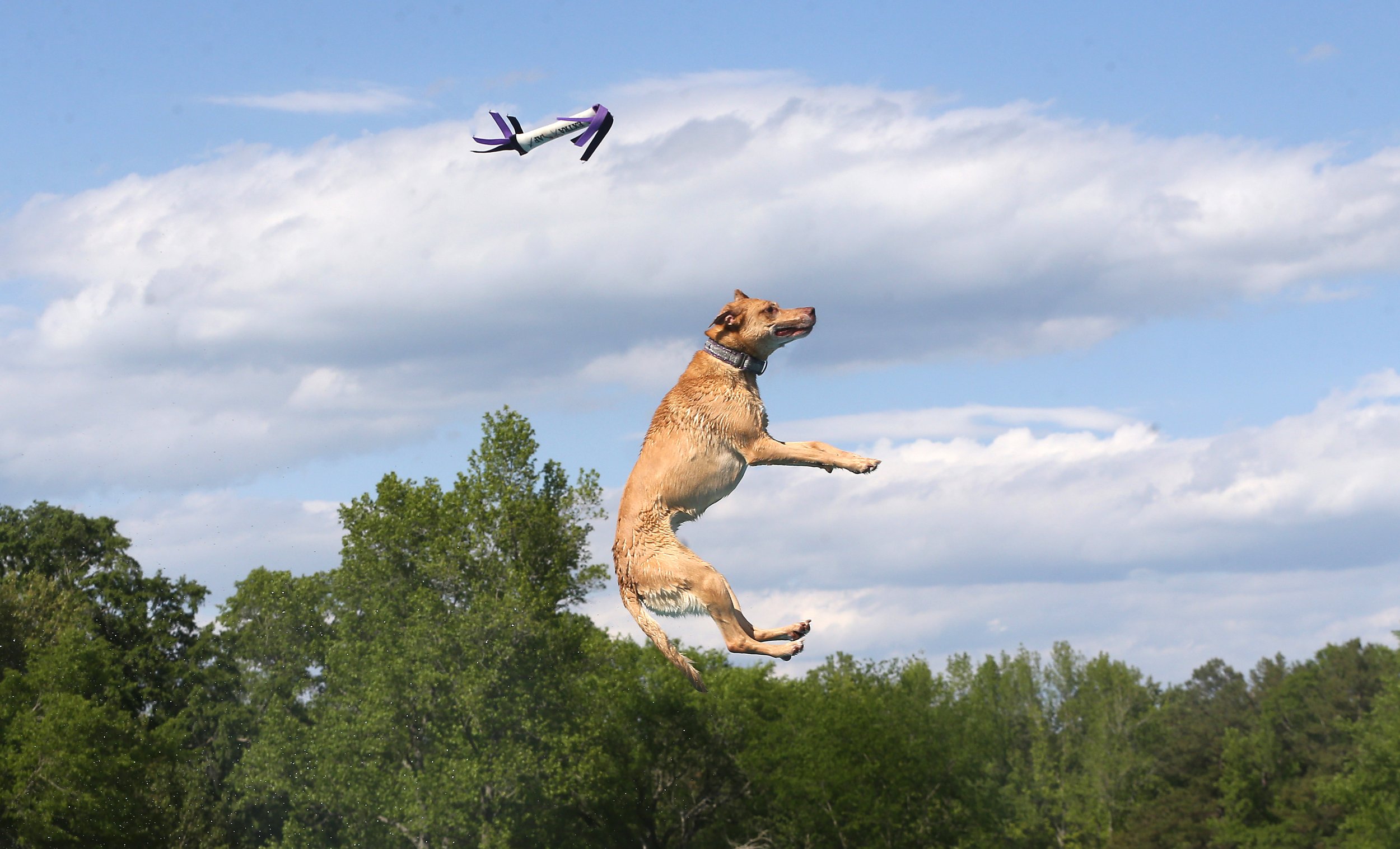 042323DockDogs_0631A.jpg