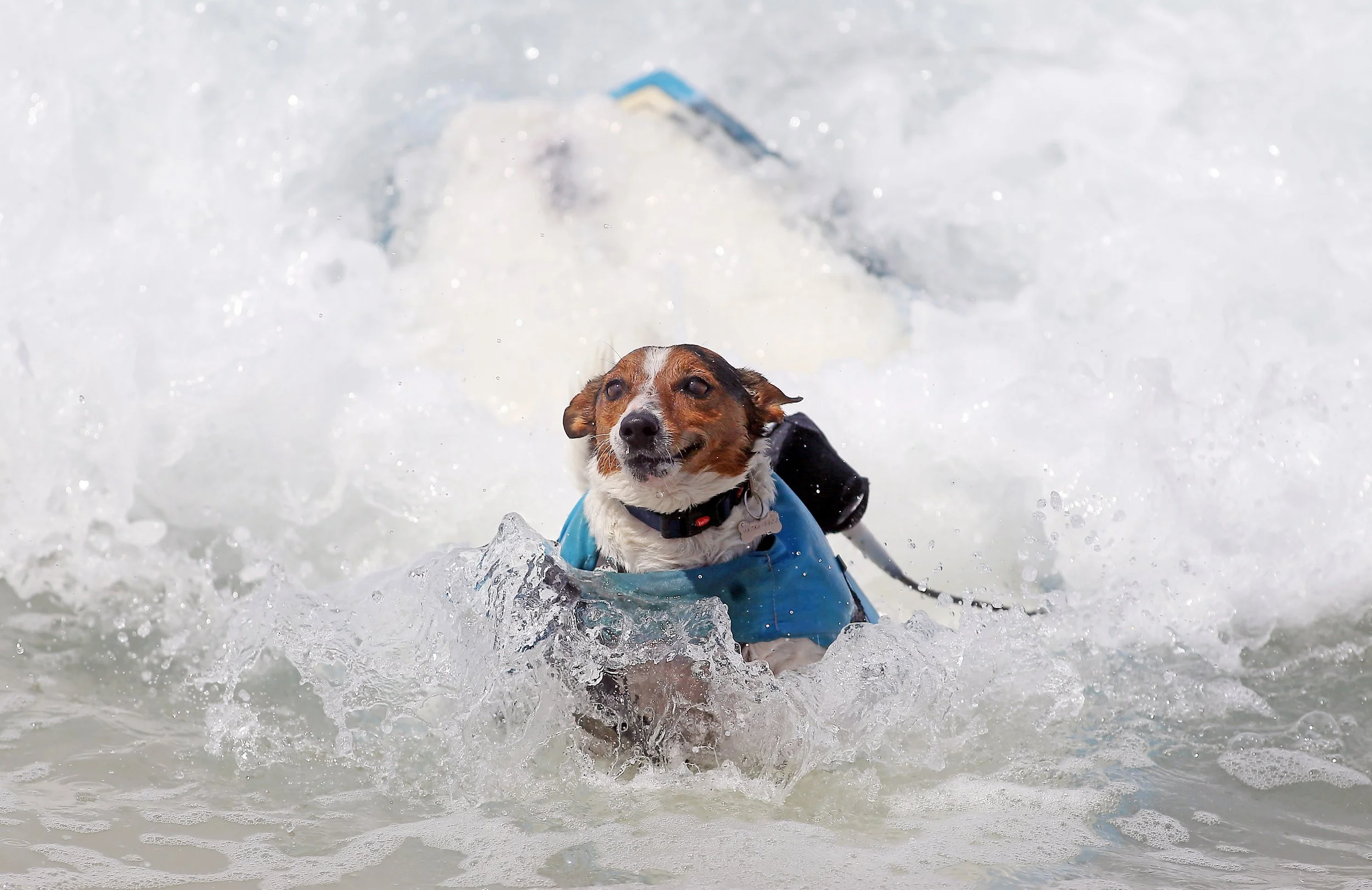 102924Surfers_1415.jpg