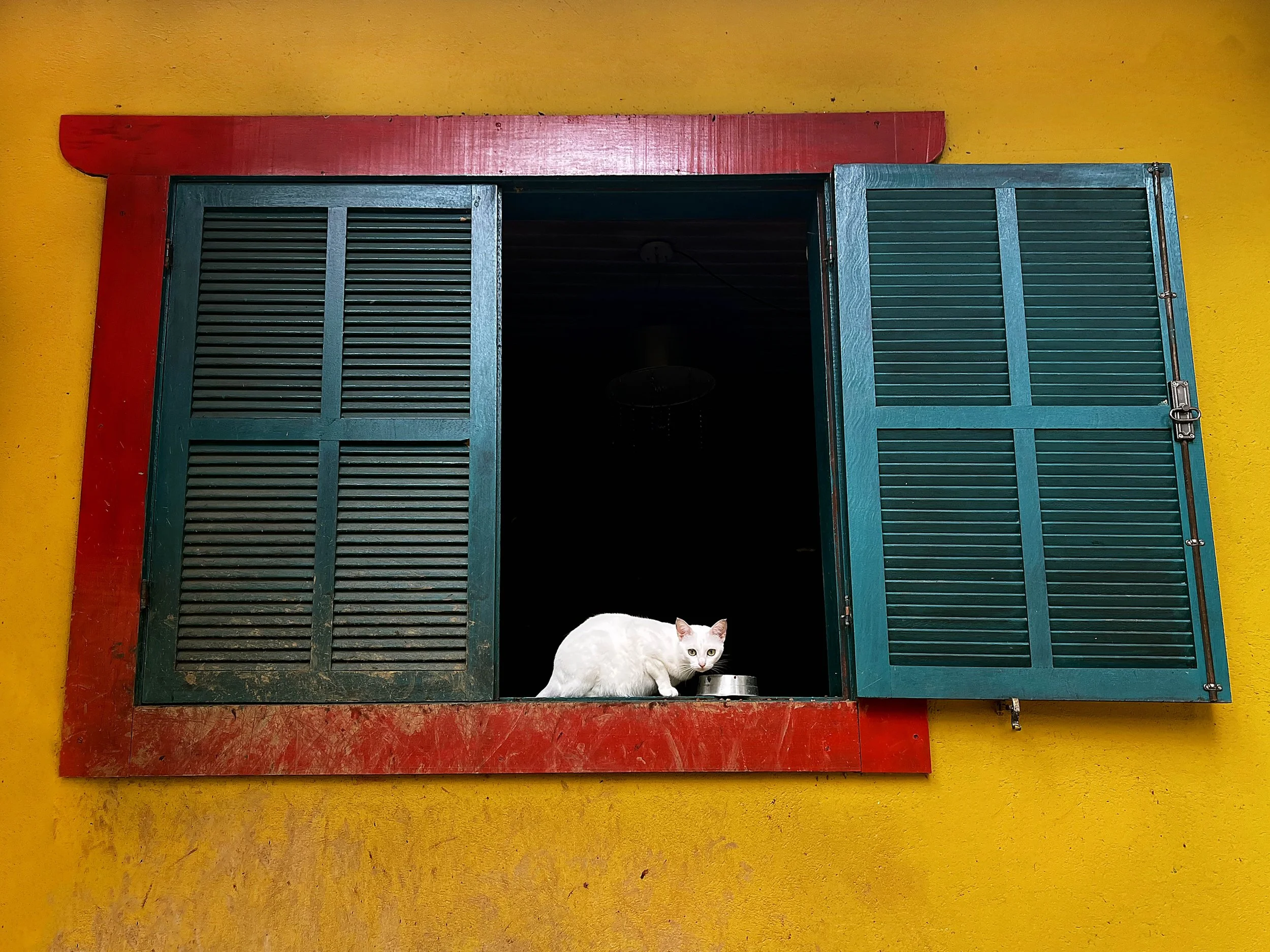 Bodhi’s cousin Brancinha eating breakfast in Guapimirim, RJ