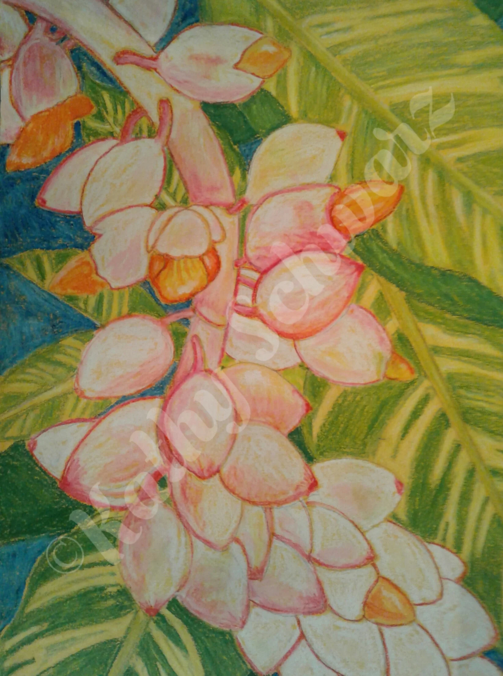 Pastel - Ginger in Bloom (11x14) - Watermark.jpg