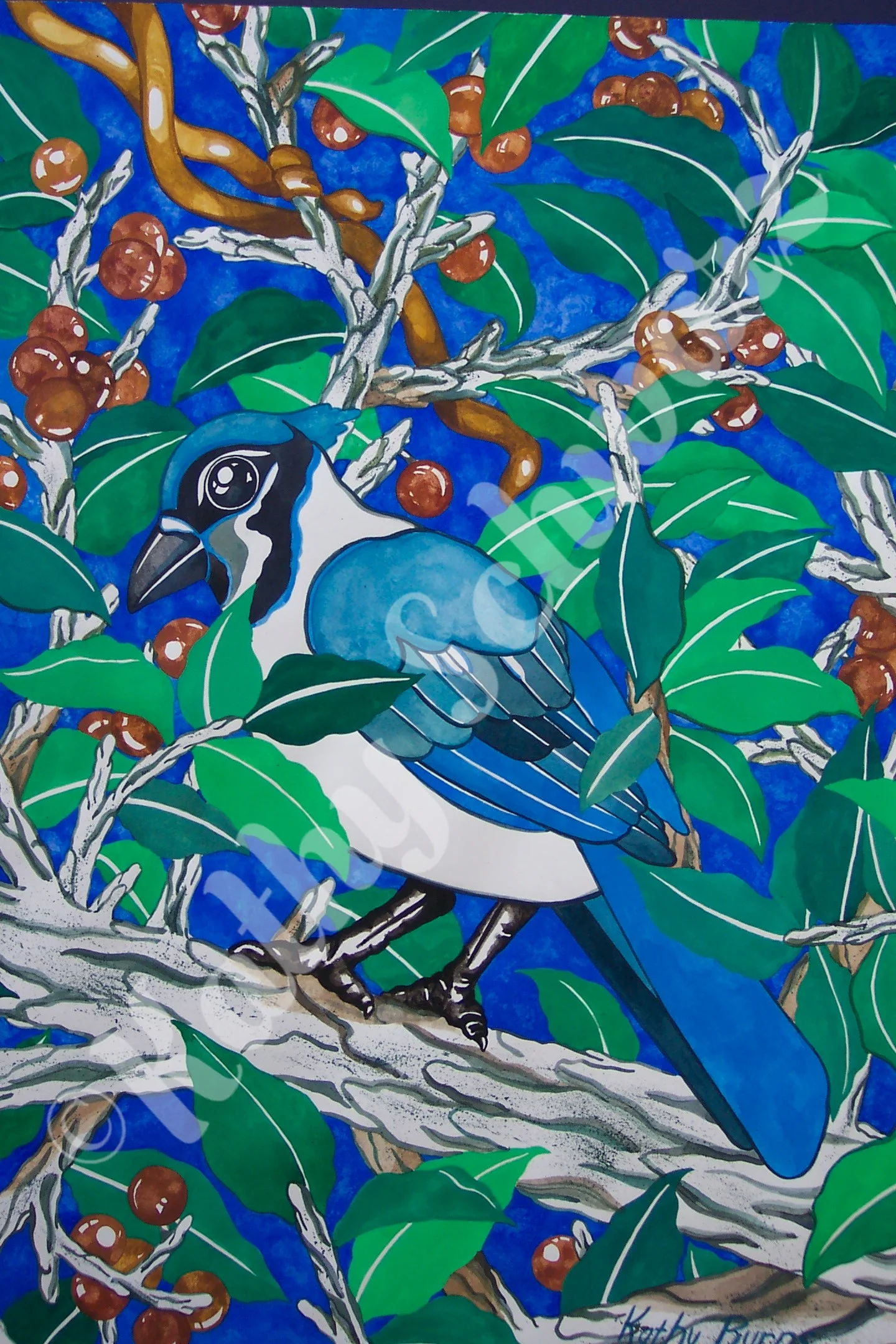 Watercolor - Blue Jay 2 (22x30) - Watermark.jpg