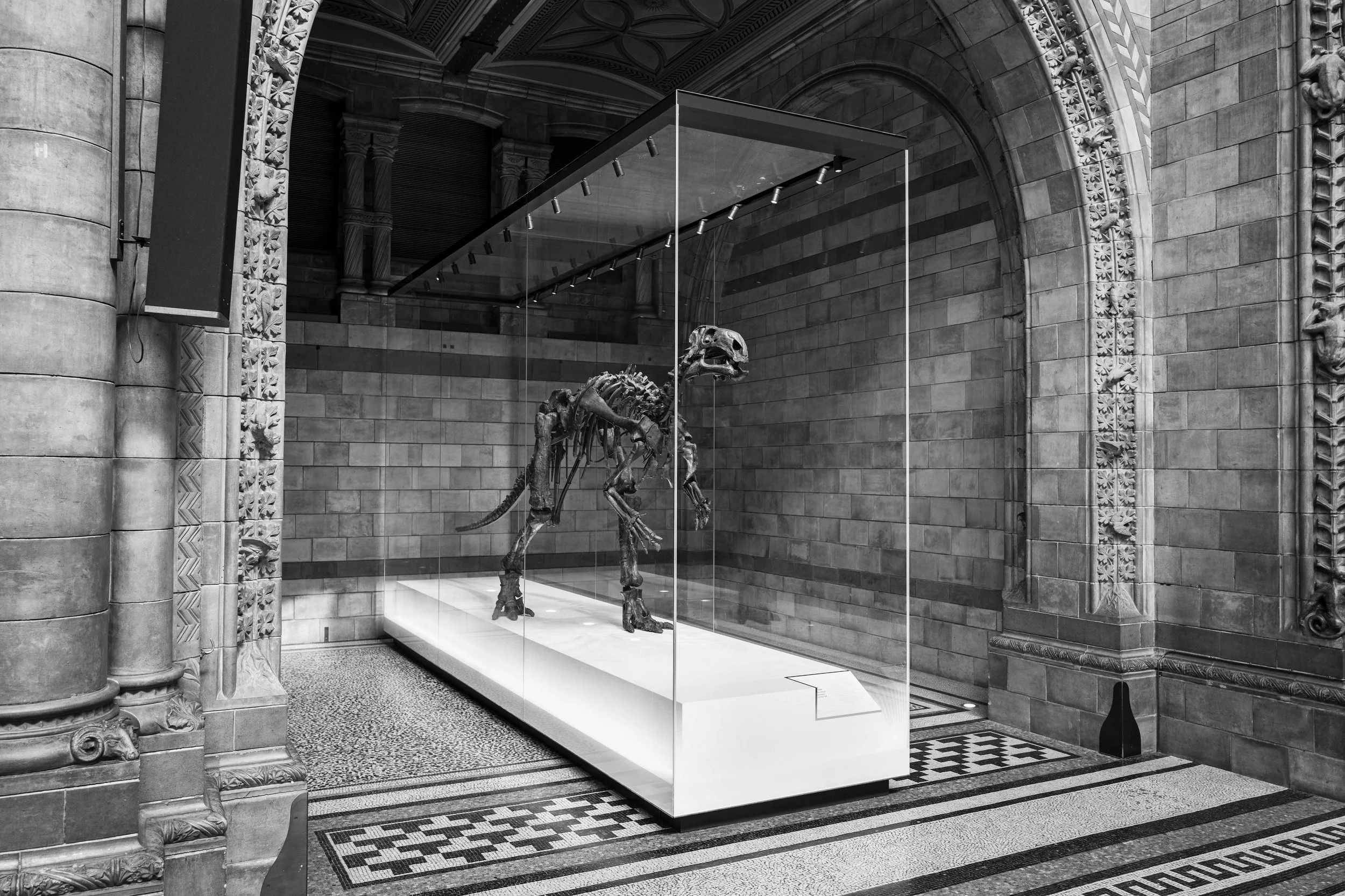 Dinosaur, London-2022 piezo print copy.jpg