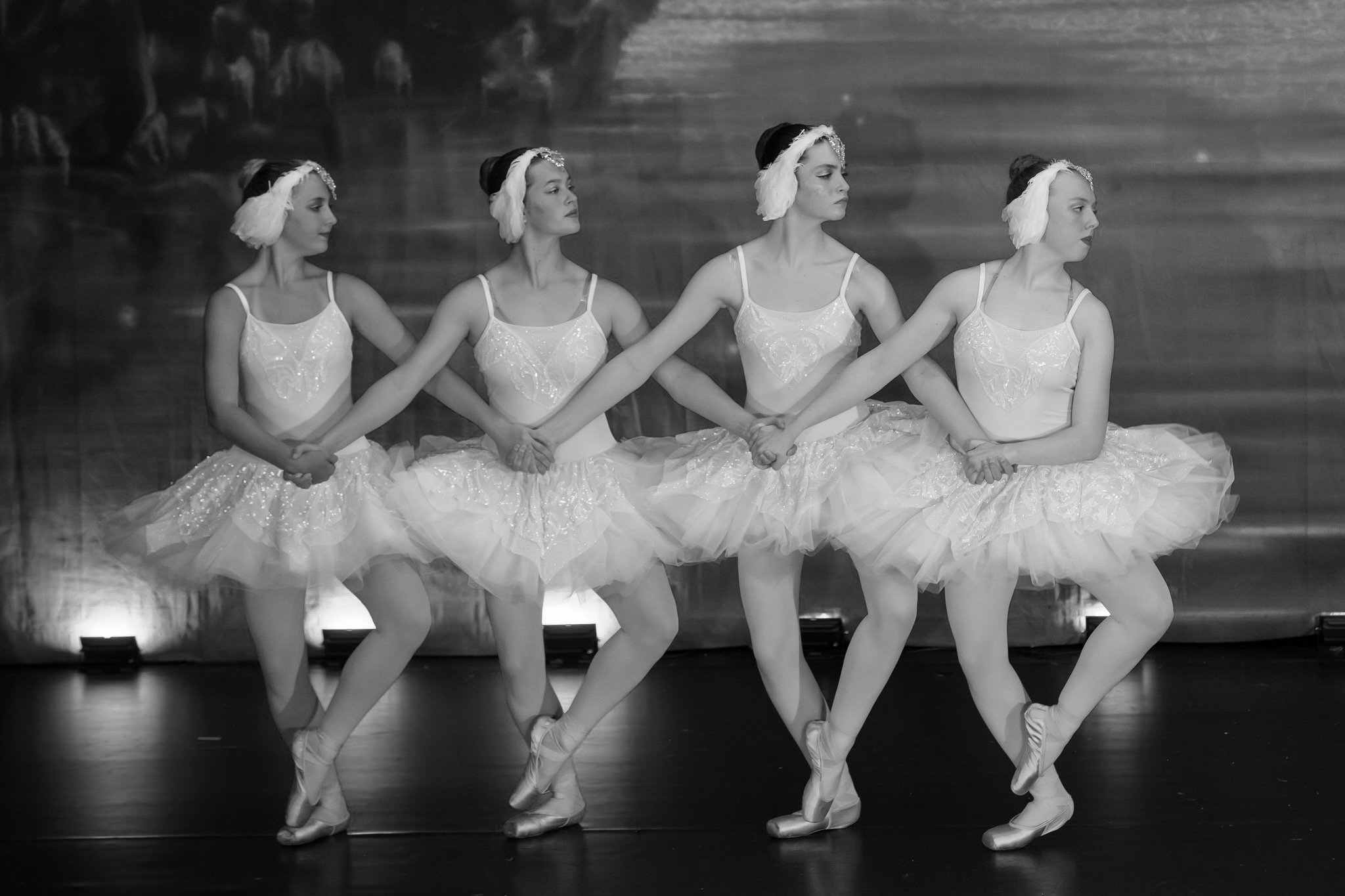 Little swans.jpeg