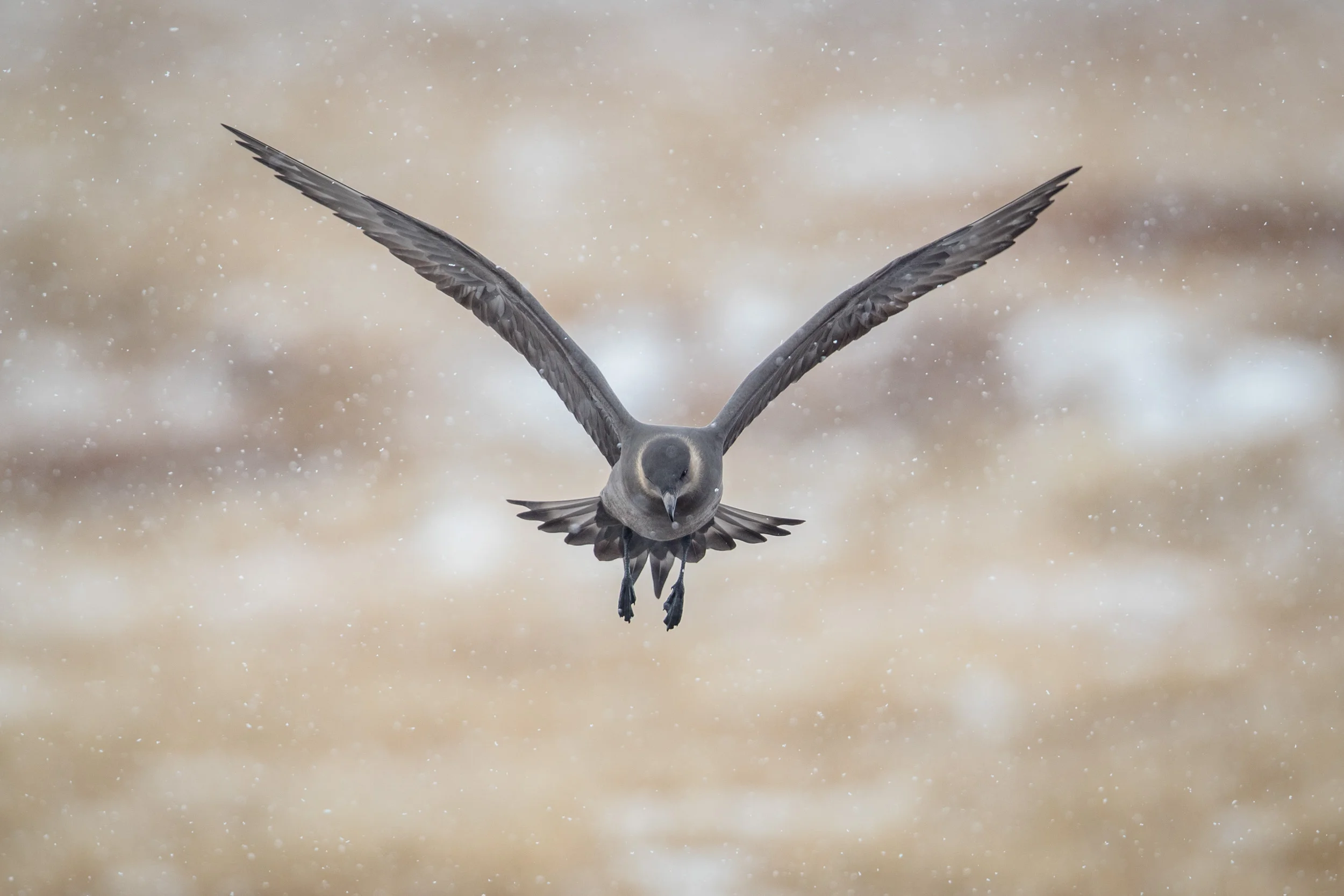 Barrow Alaska Rentals
