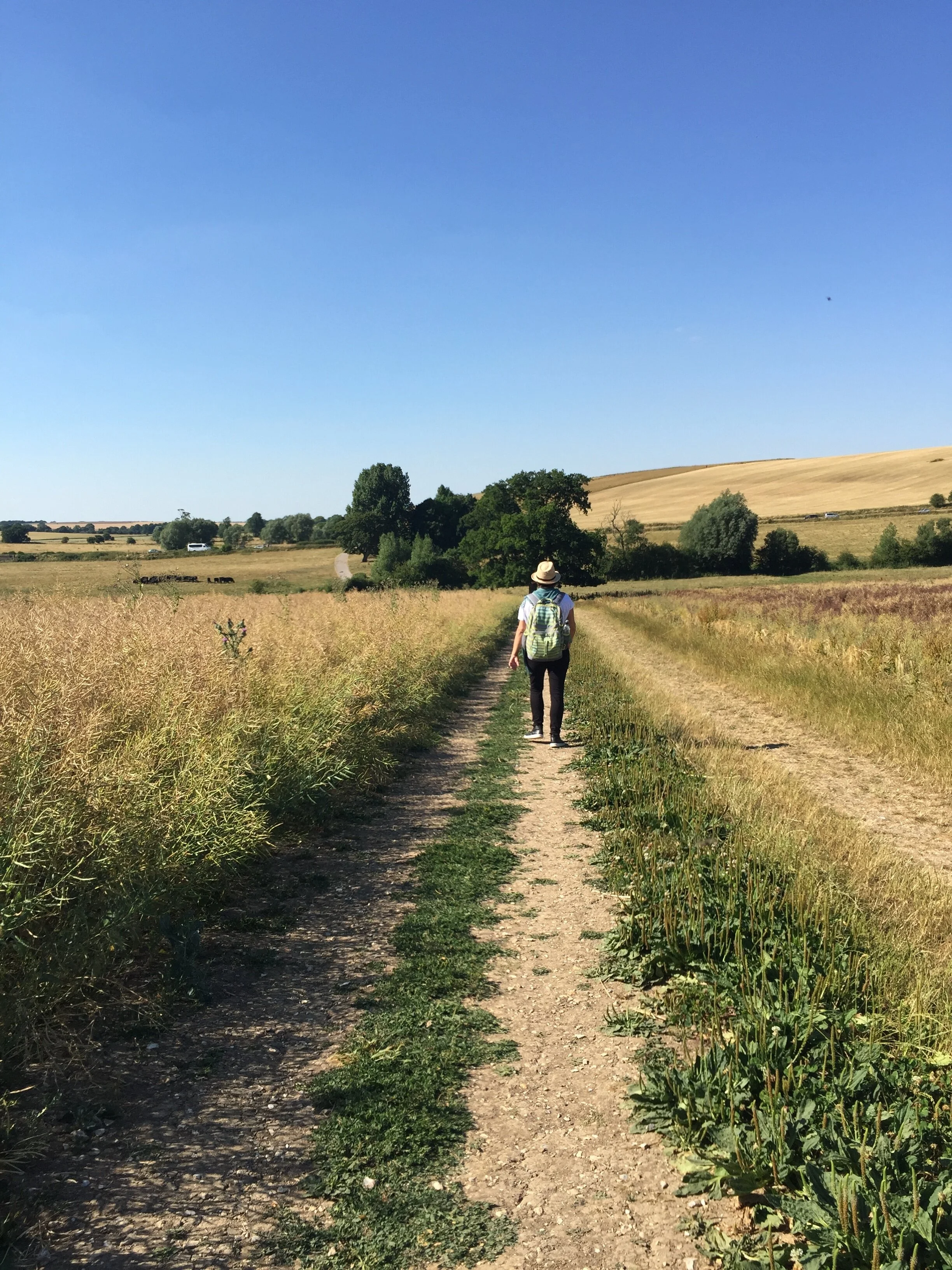 Lena walking in a field.JPG