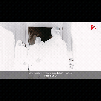 Keselyű - Vulture